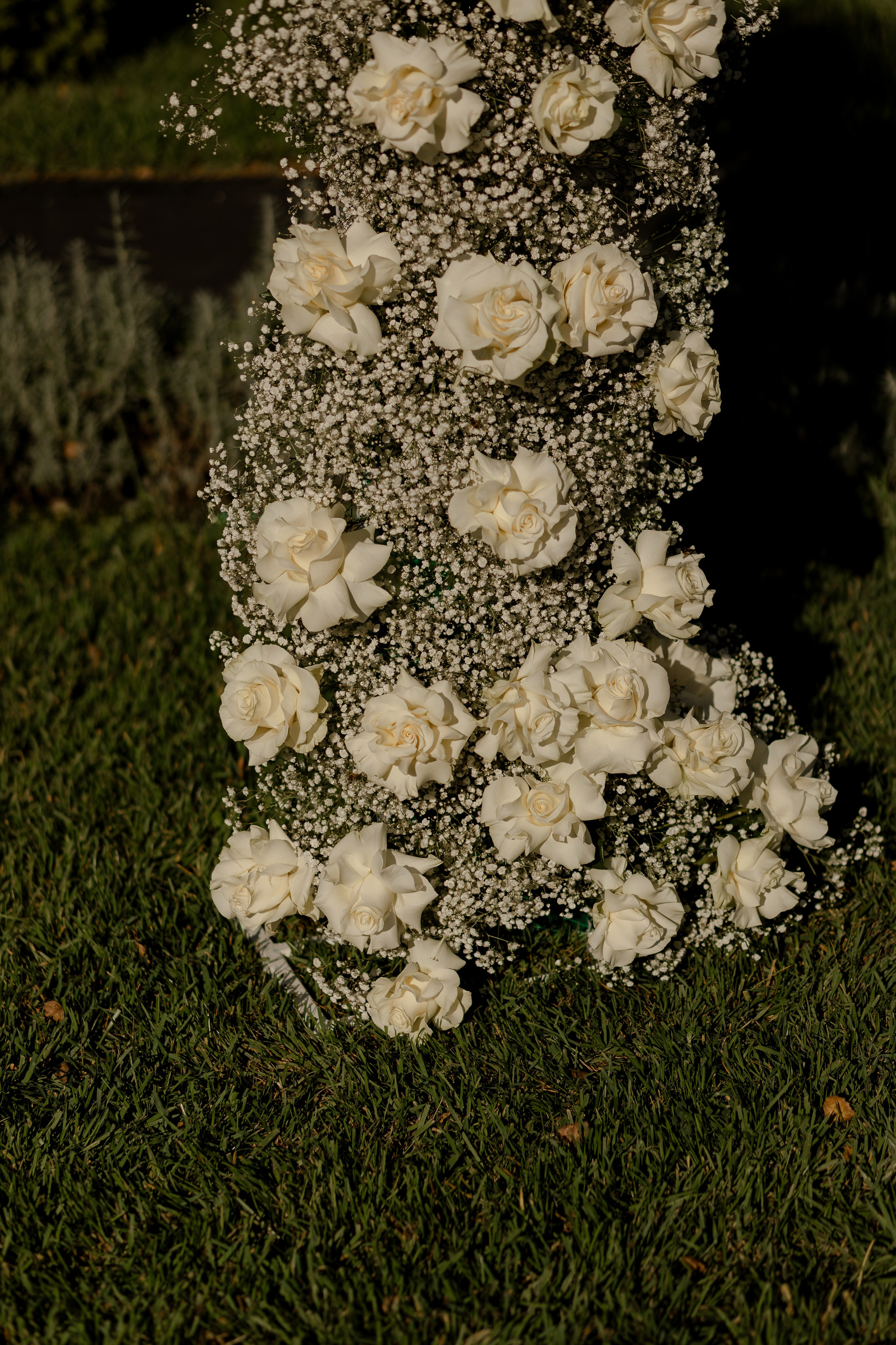 Кирилл и Даша. Dima Lemeshevsky