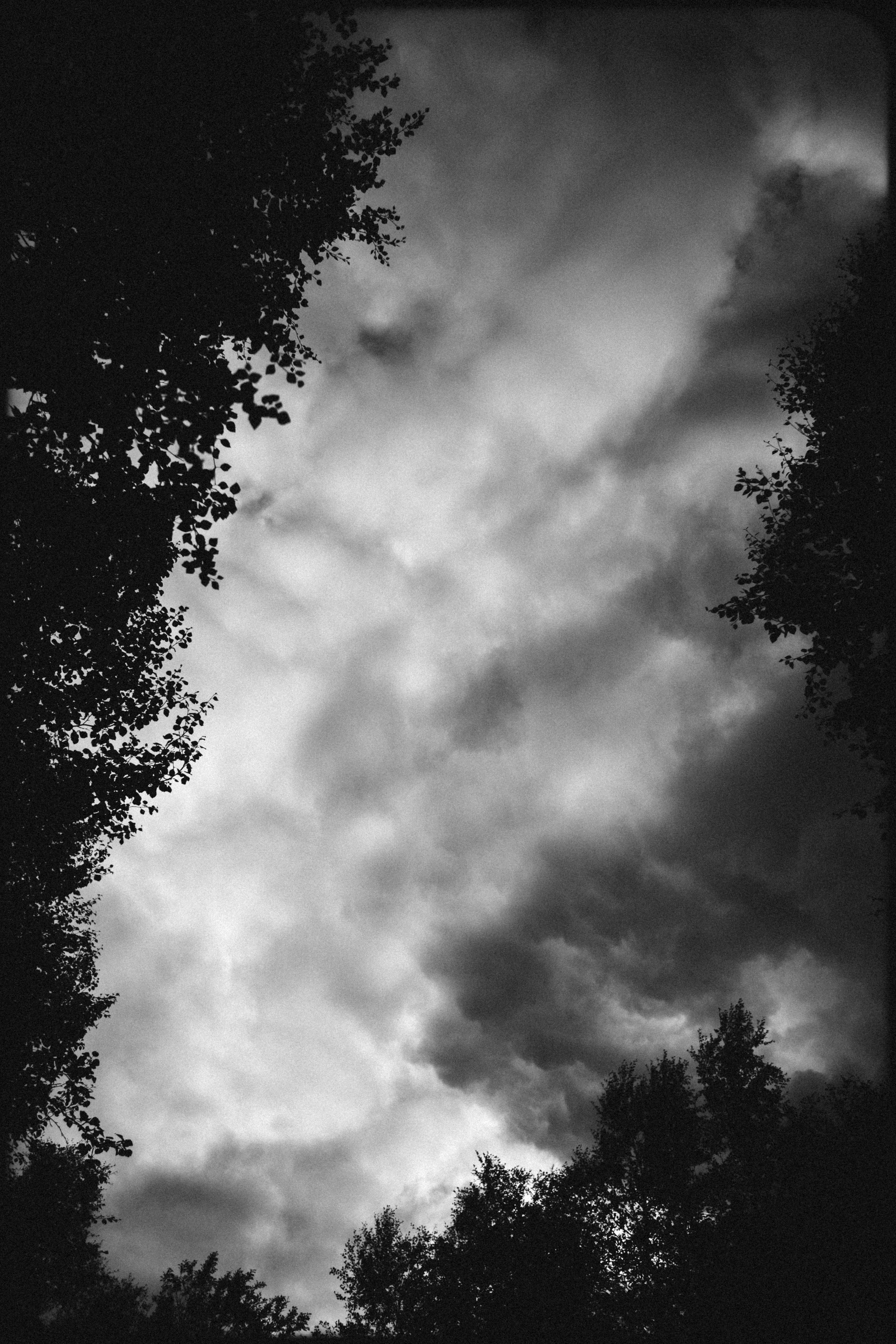 Териберка, Мурманск. Фотосъёмка для компании по организации туров в коллаборации с Яндекс 360