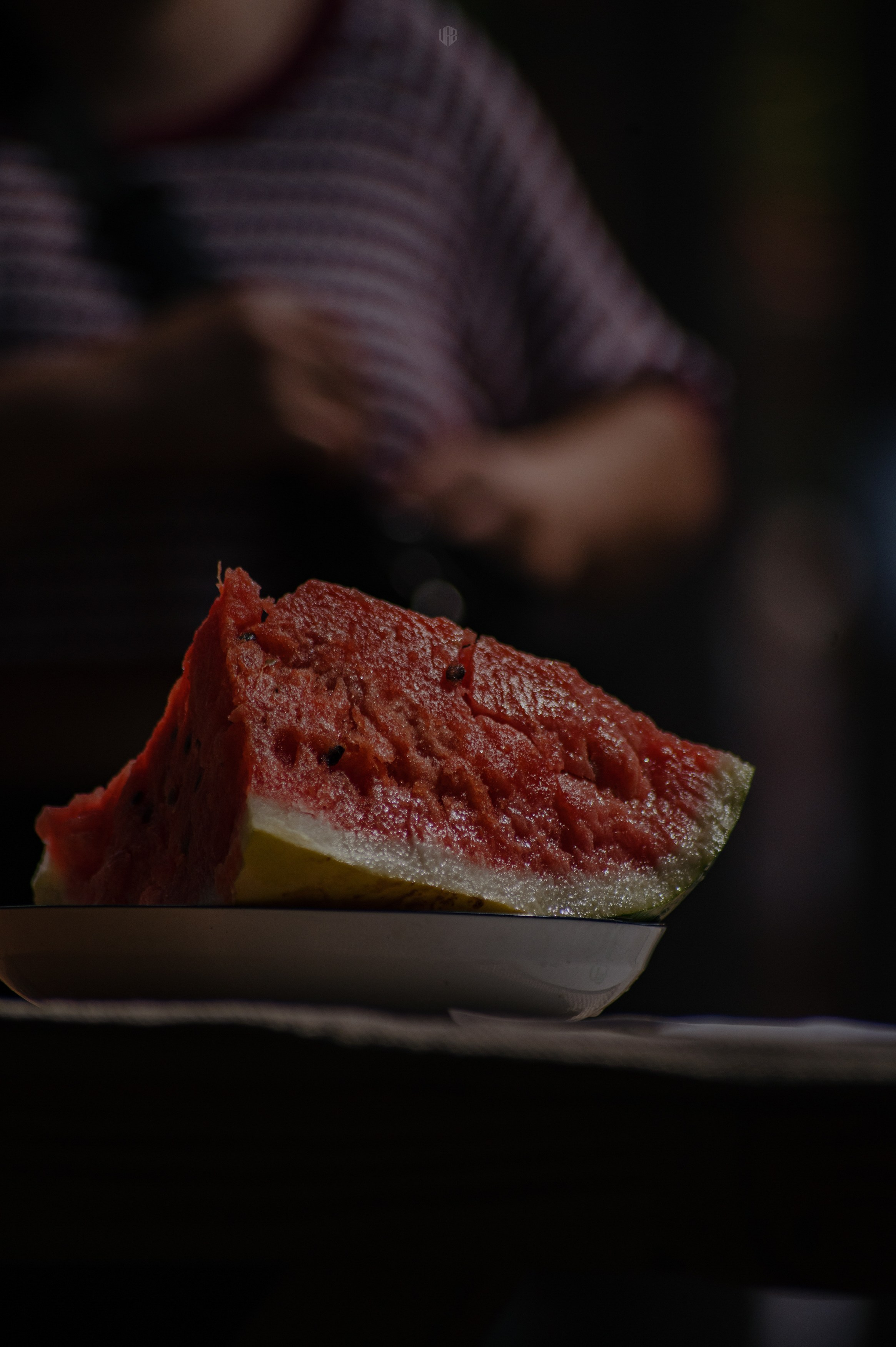 METADREAMS 2024. Контент фотограф Илья Урс