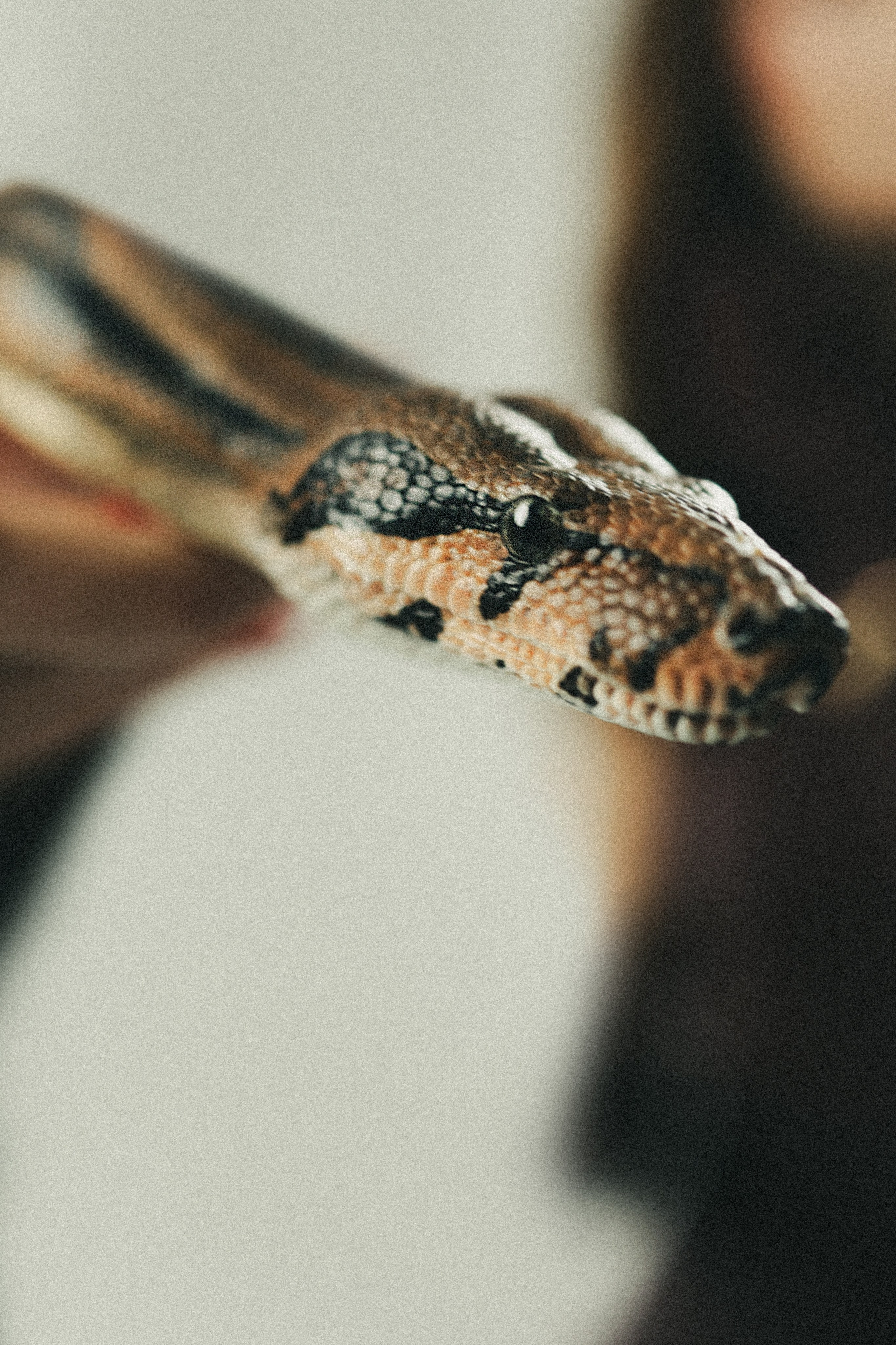 Екатерина. Withlovent | Фотограф в Севастополе