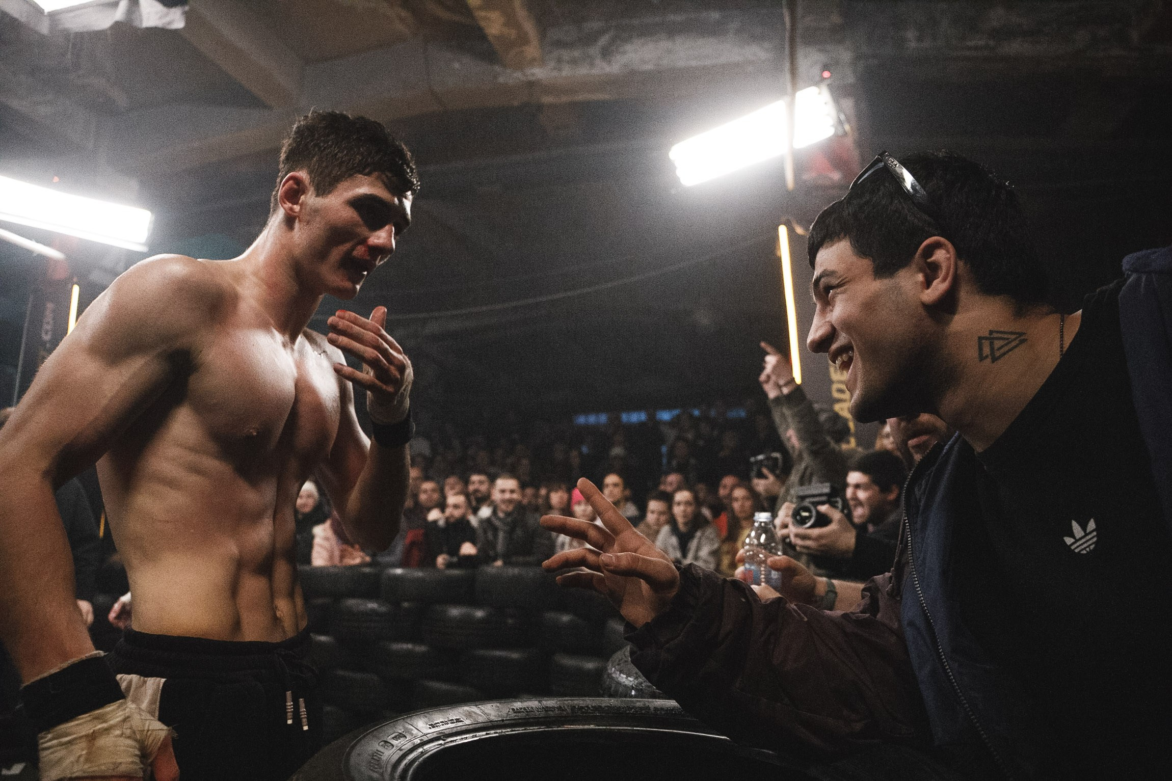 Fights // Social. Bivol images