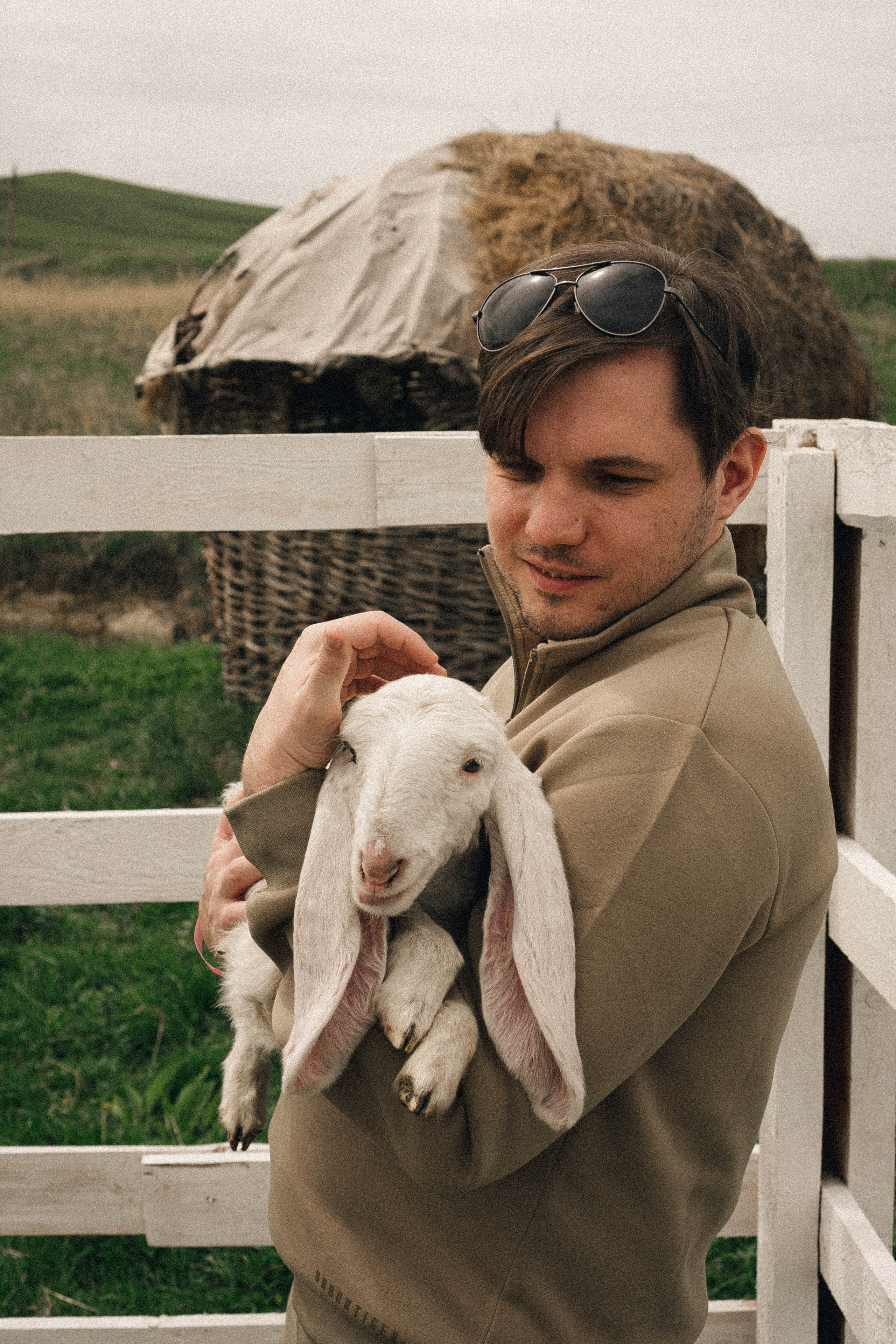 Ферма Альпак. Профессиональный фотограф, Санкт-Петербург — Виктория Богомолова
