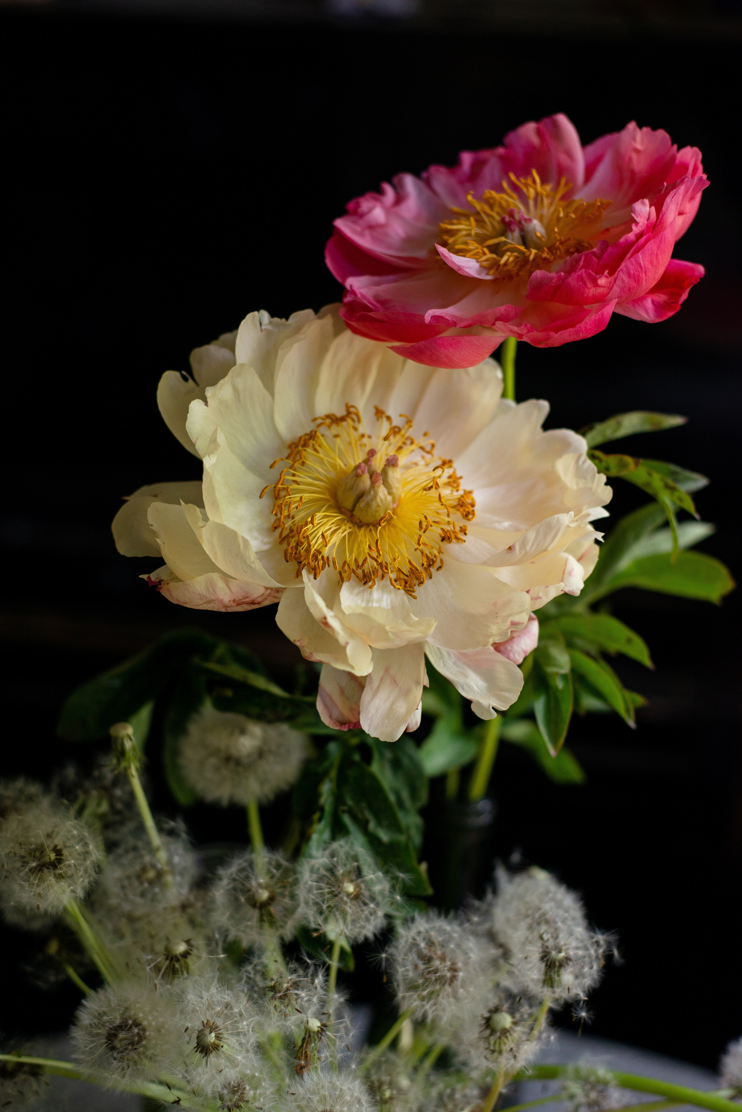 Art. Фотограф в Санкт-Петербурге Мария Мельникова