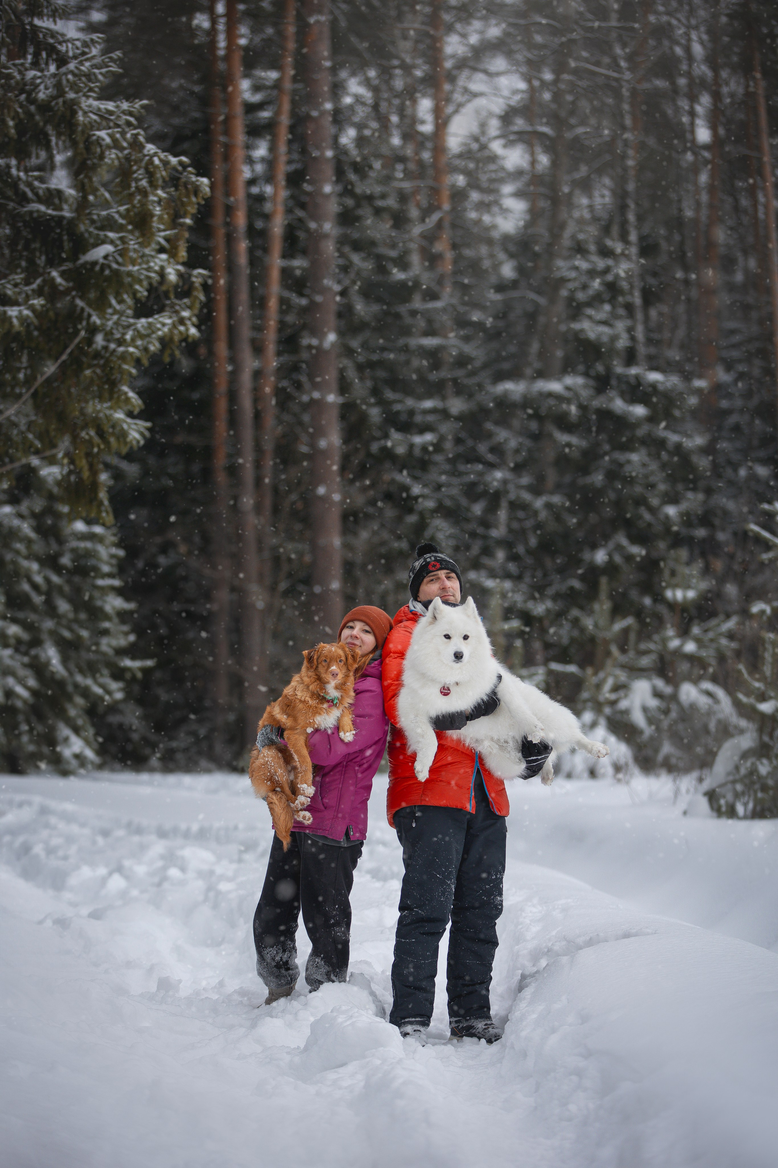 Руби, Николь, Кирилл и Мила. Фотограф анималист в Москве Майорова Евгения