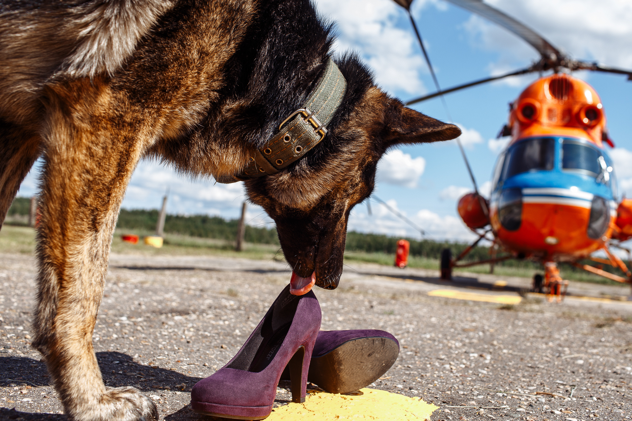 Первый день лета. Свадебный и семейный фотограф в Твери, Москве, Санкт-Петербурге