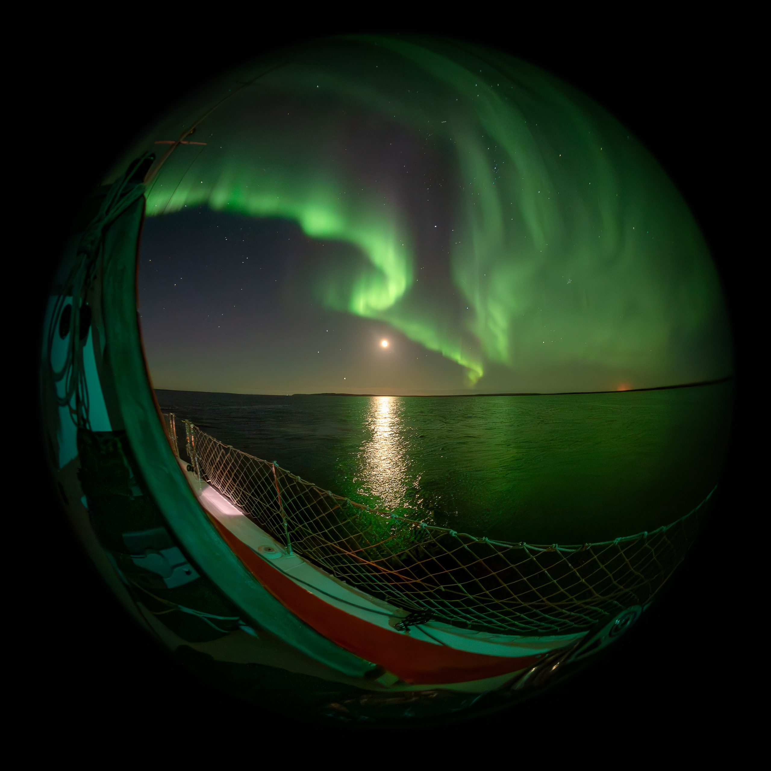 Арктика. Andrew Gusarov Nature Photography