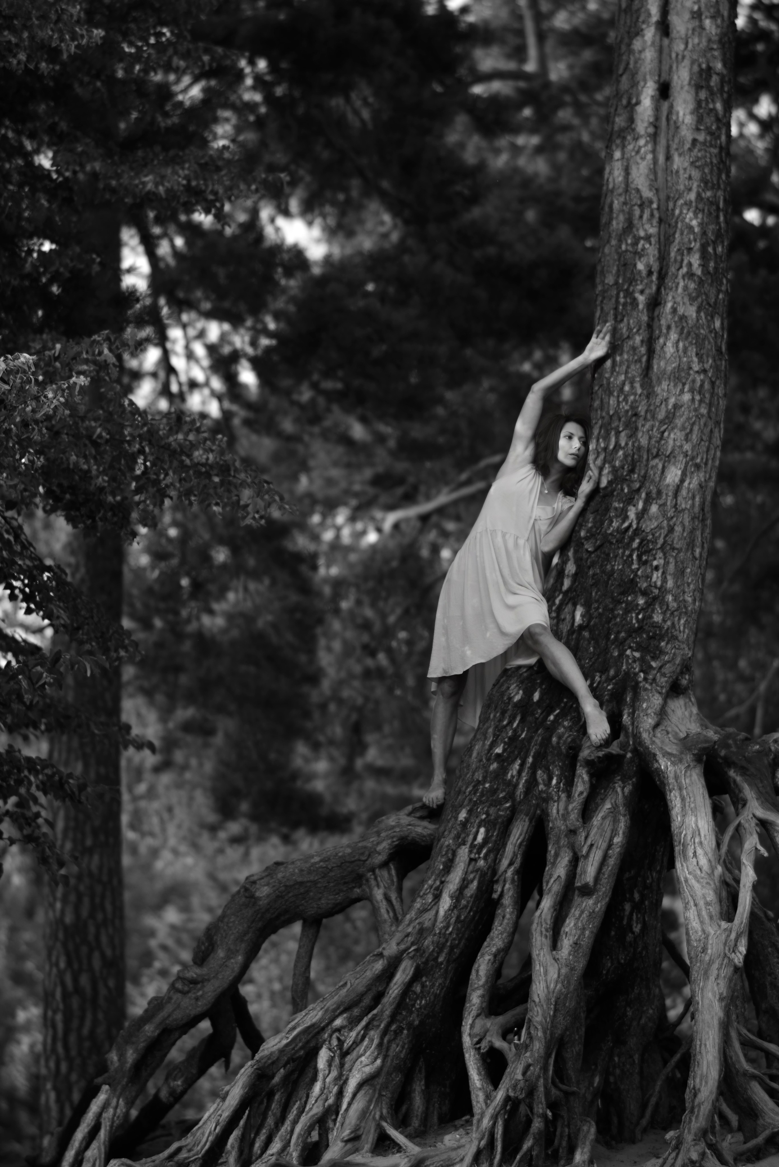 Altay | Summer. Bekagaev photography