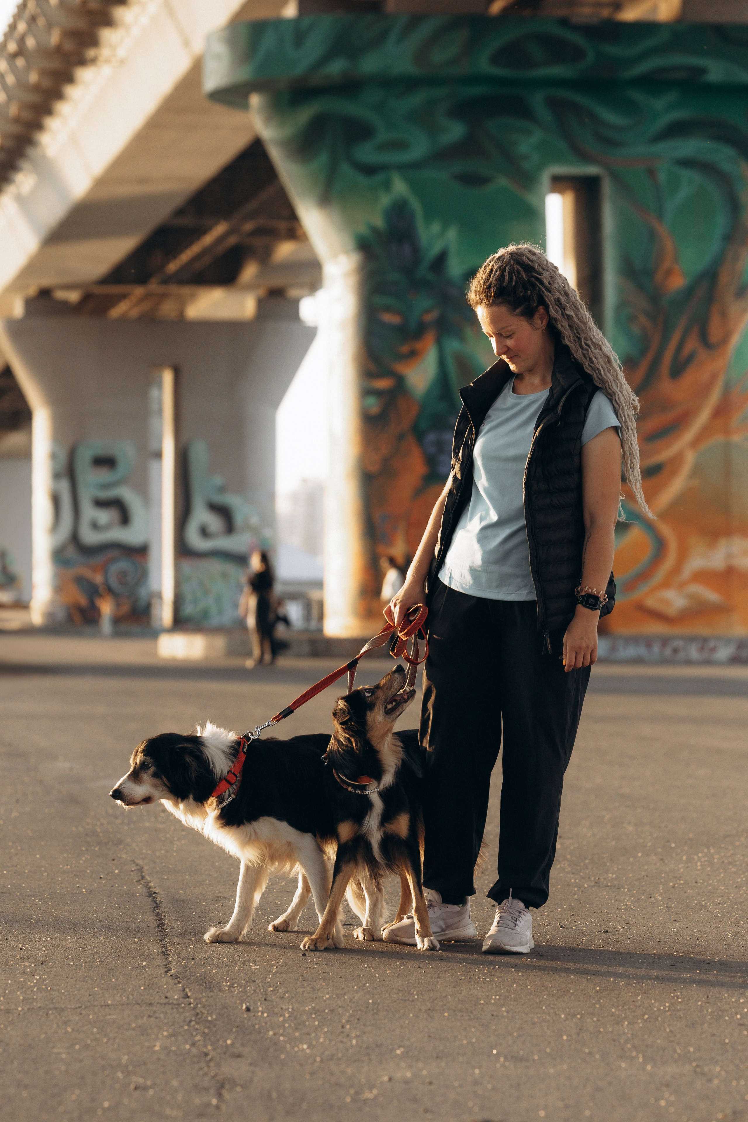 Алла и ее компания. Фотограф анималист в Казани Алина Сулейманова. Фотограф животных