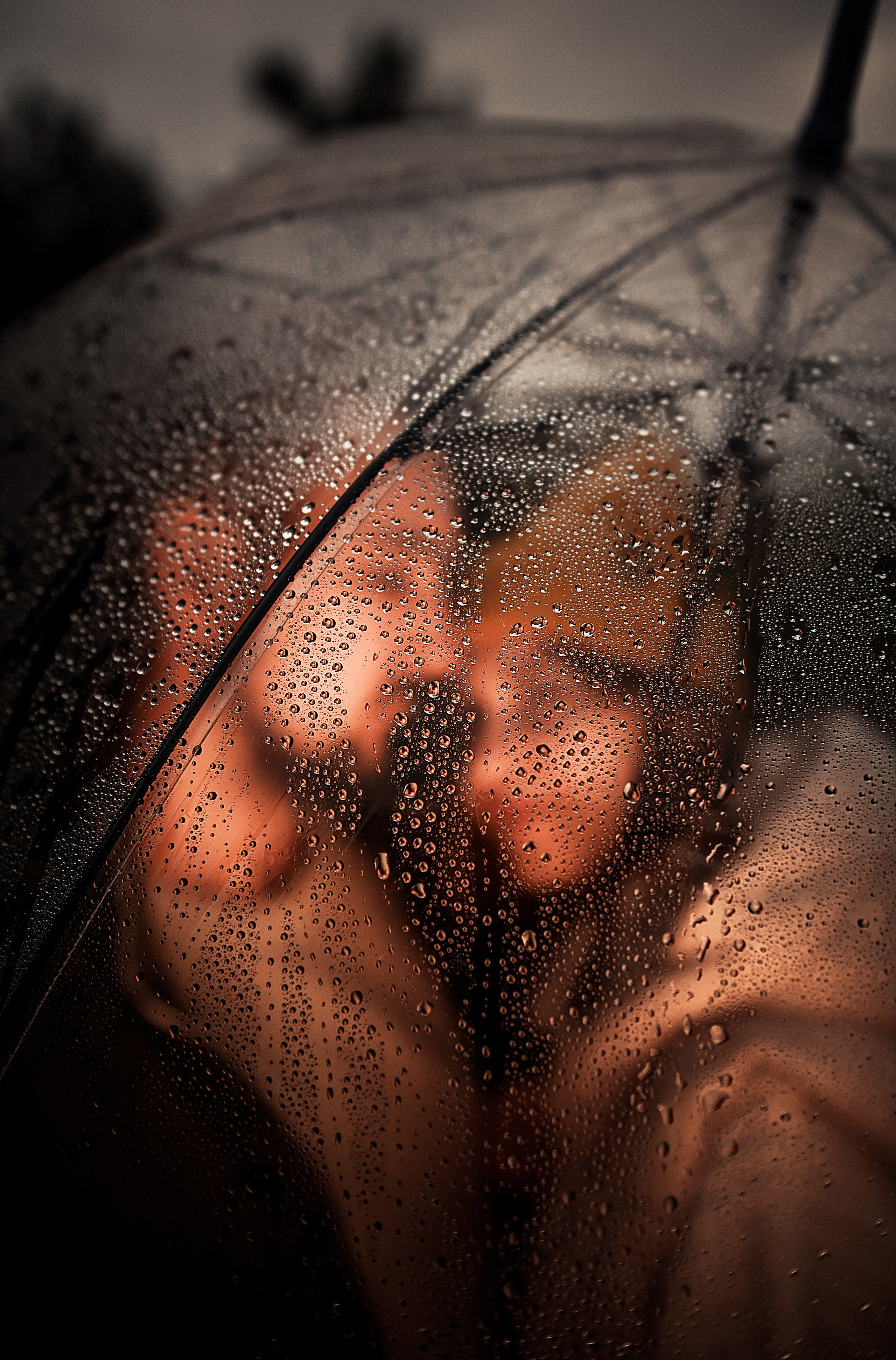 Осенняя Love story. Свадебный, семейный, детский, контент фотограф в Омске Максим Ильин