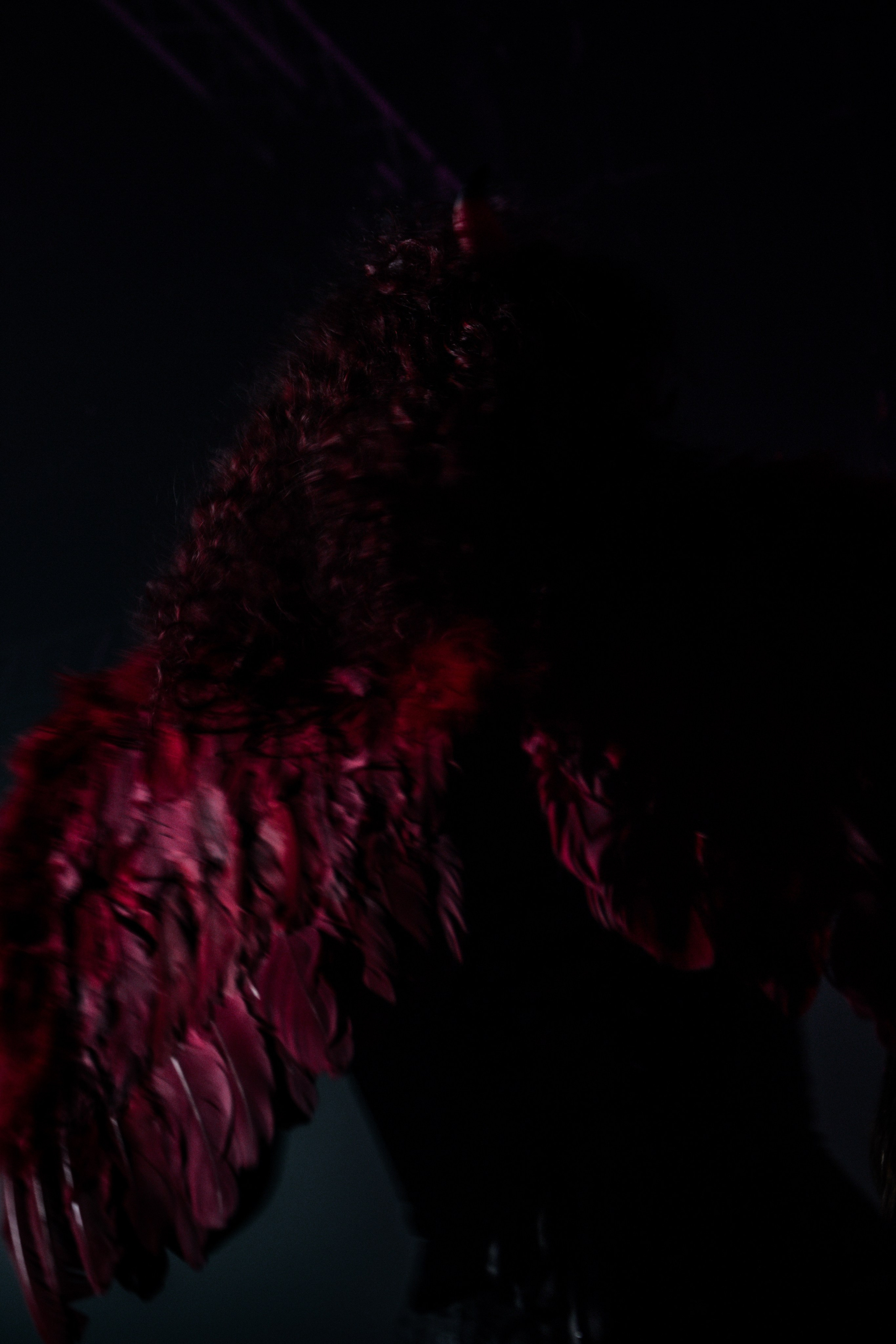 Концерты. Music label Dust Heave sound