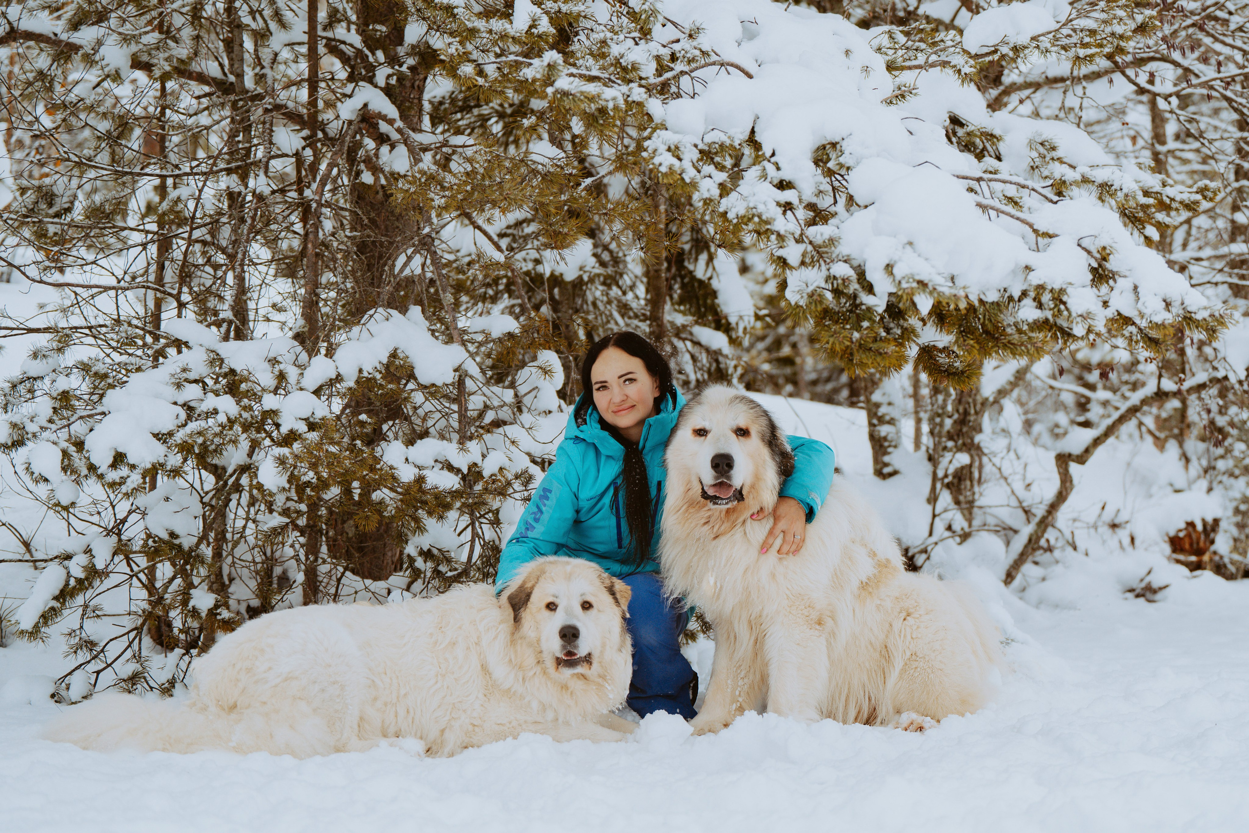 Фотограф питомцев в Санкт-Петербурге. Фотограф анималист в Спб недорого Олеся Майорова