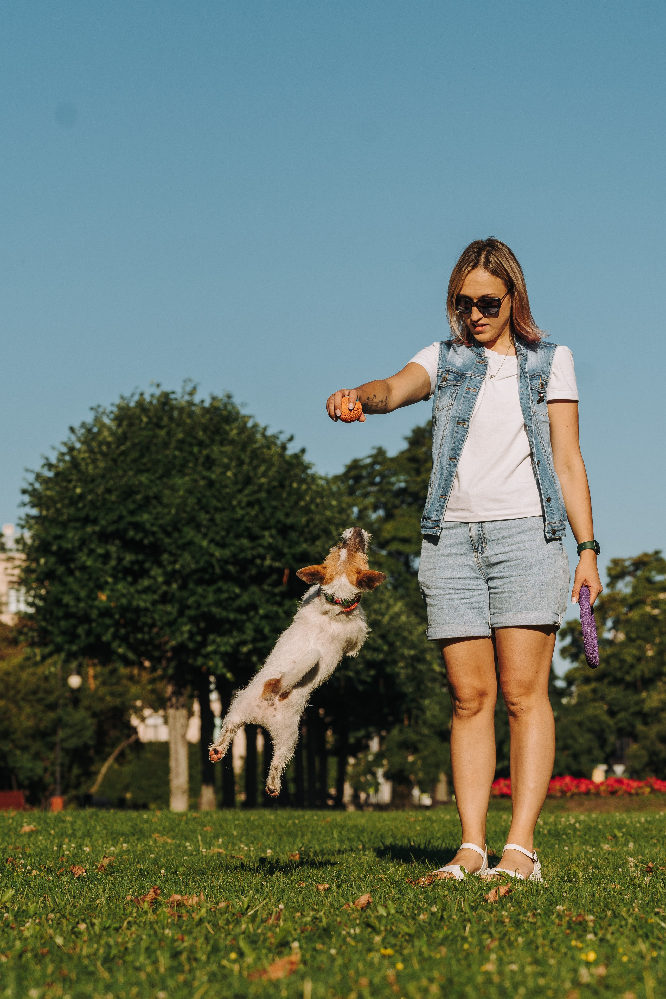 Ларс, Лукас и Ольга. Фотограф анималист в Спб недорого Олеся Майорова