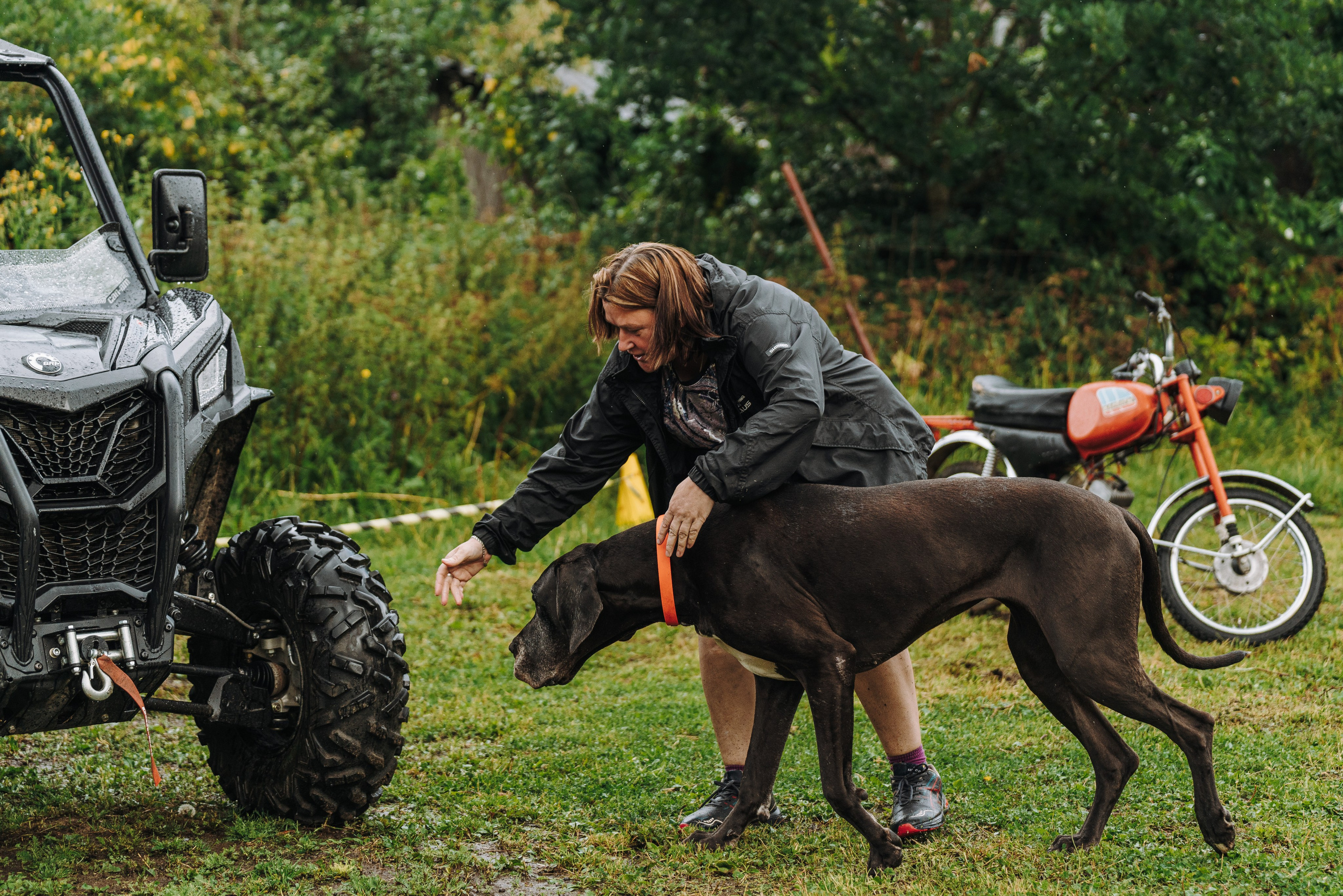 Соревнования по ноузворку в Новожилово. Фотограф анималист в Спб недорого Олеся Майорова