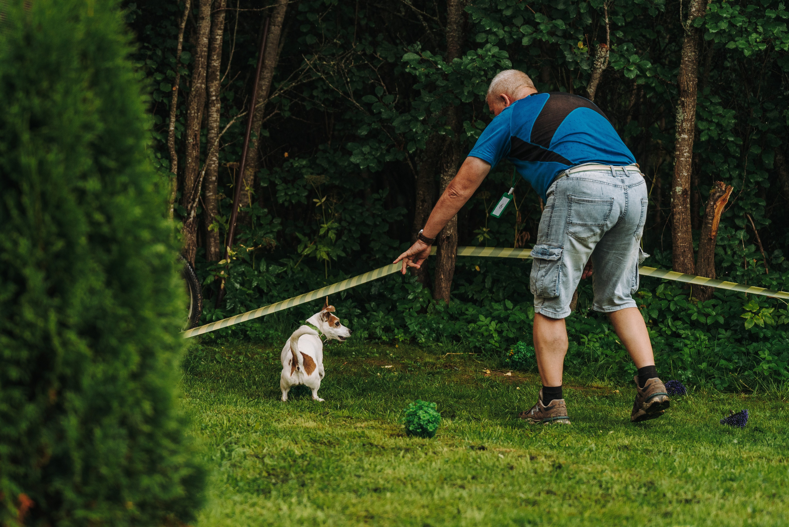 Соревнования по ноузворку в Новожилово. Фотограф анималист в Спб недорого Олеся Майорова