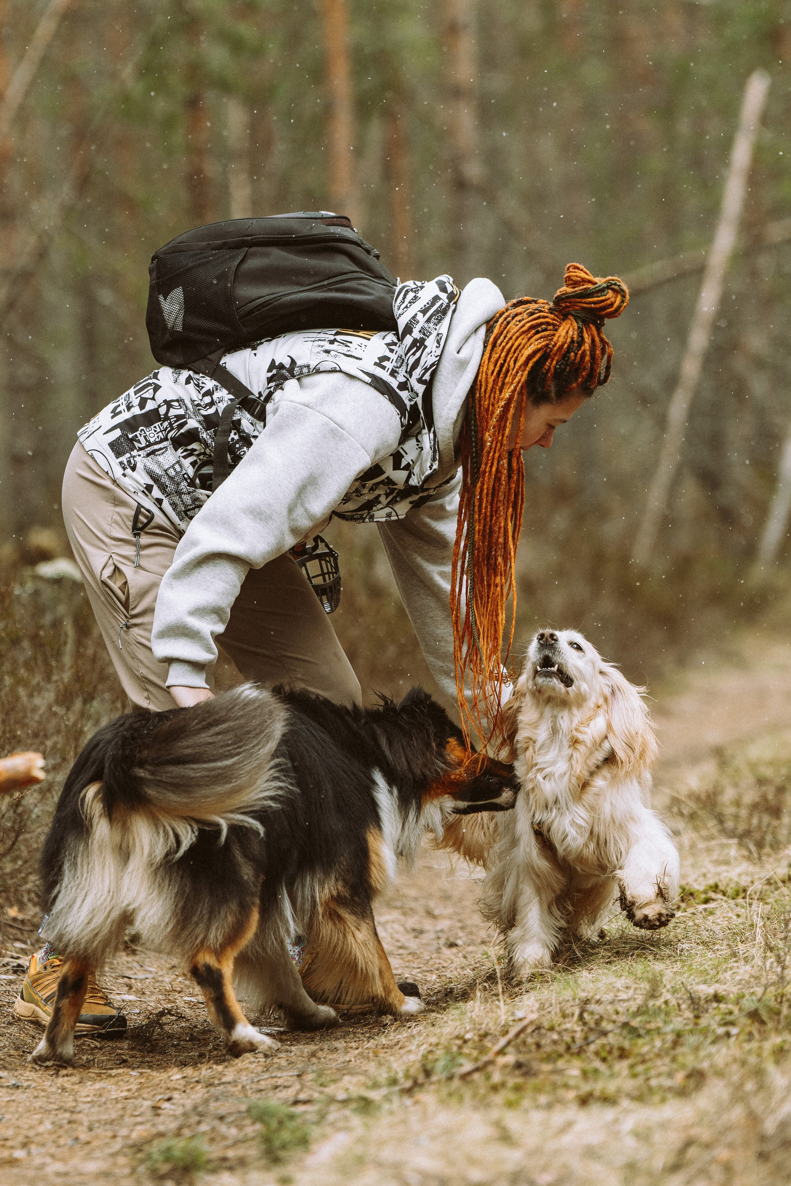 Дог трекинг к финскому хутору. Фотограф анималист в Спб недорого Олеся Майорова