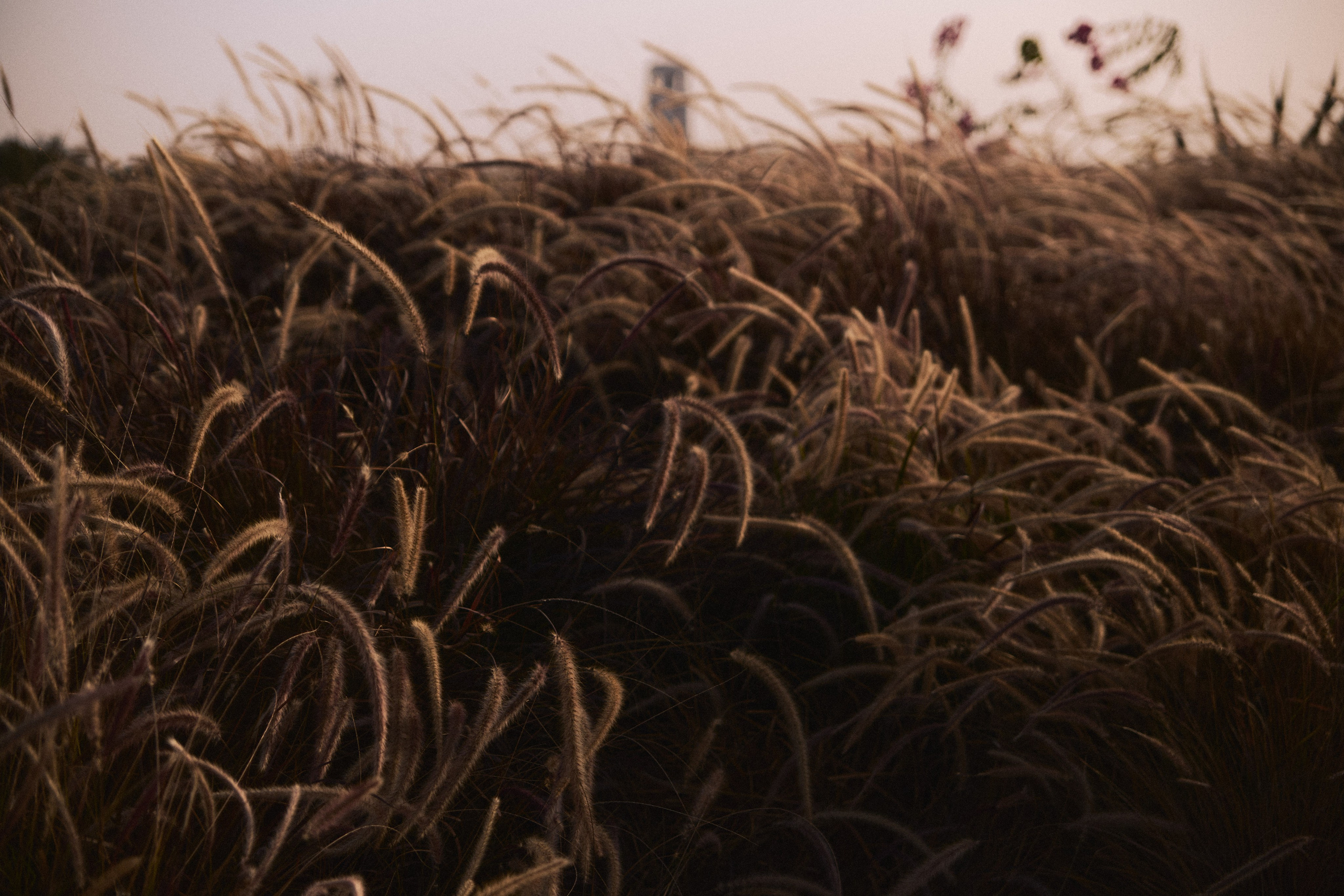 Улица горизонтальная. Jorgis — фотограф в Хургаде / обучение фотографии