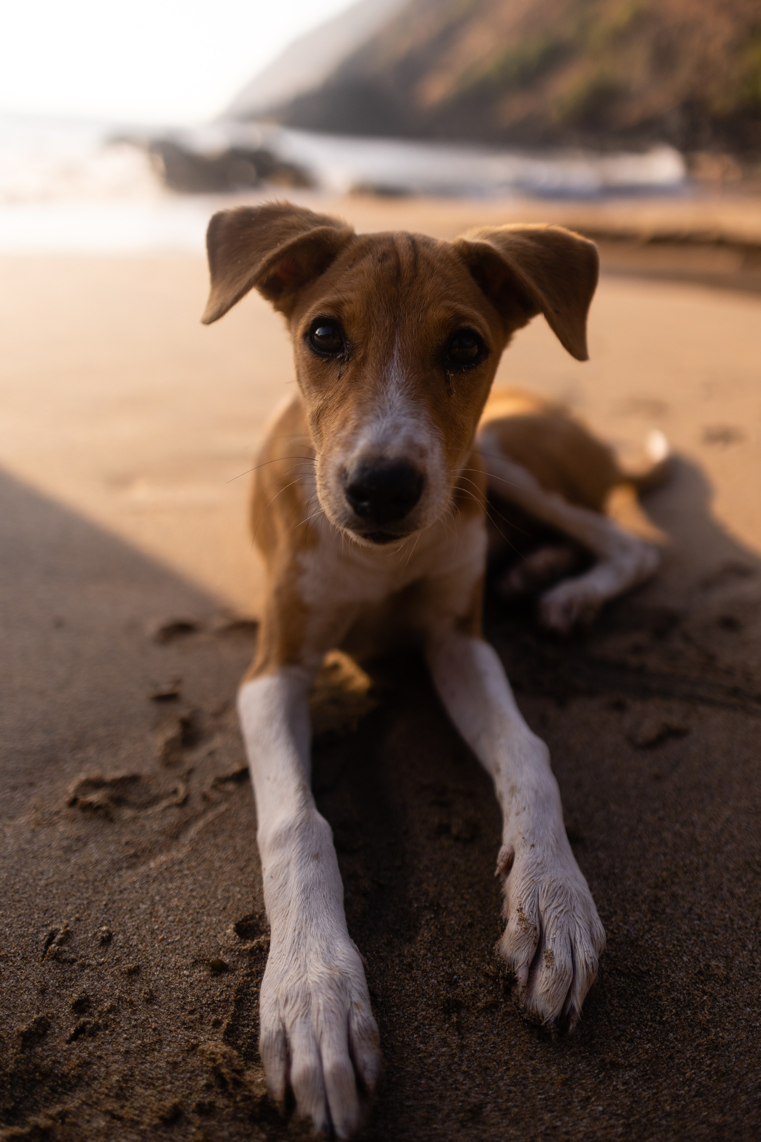 ГОА 2024. Руслан Плахтеев