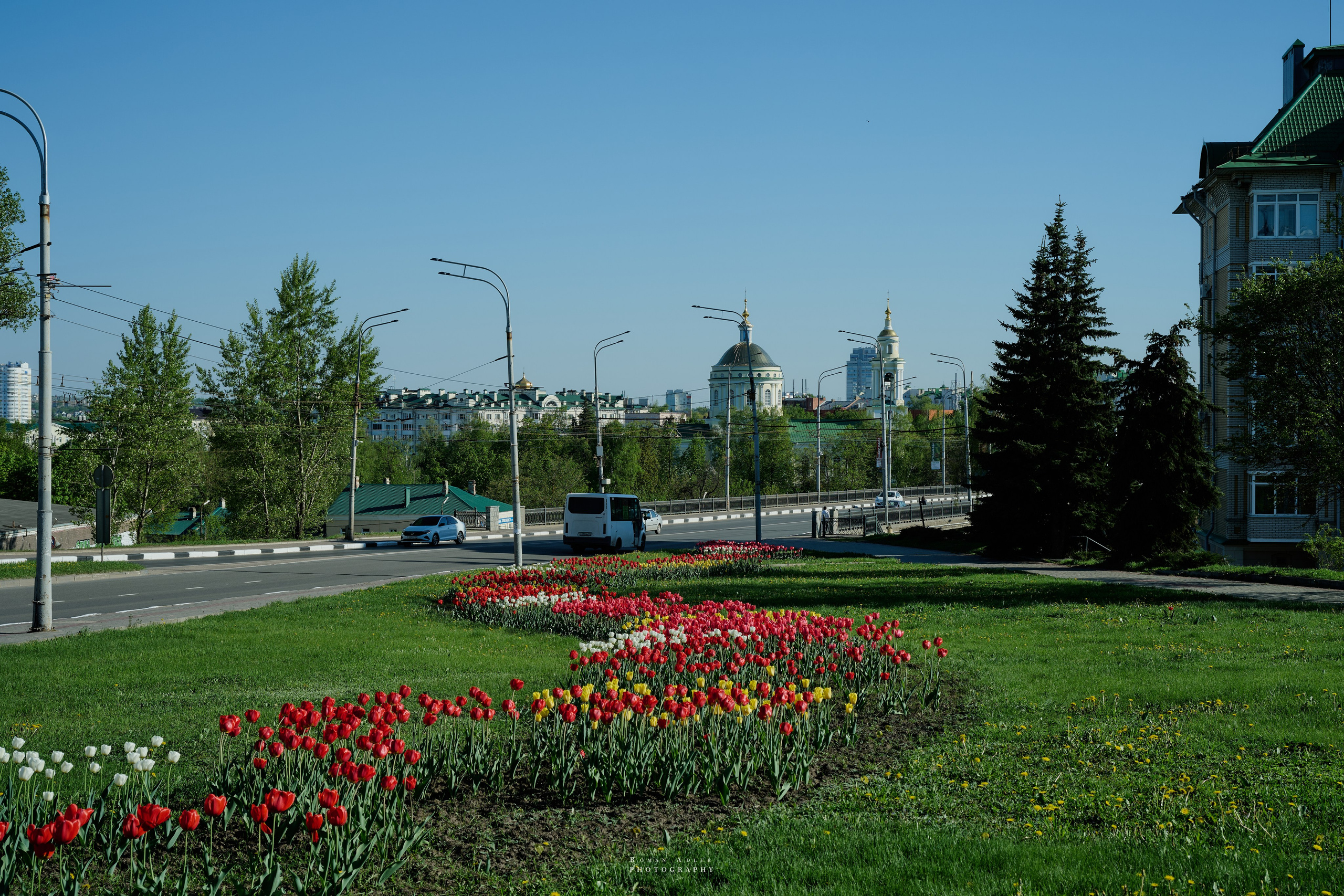 Орел. Апрель 2024. Фотограф Роман Адлер