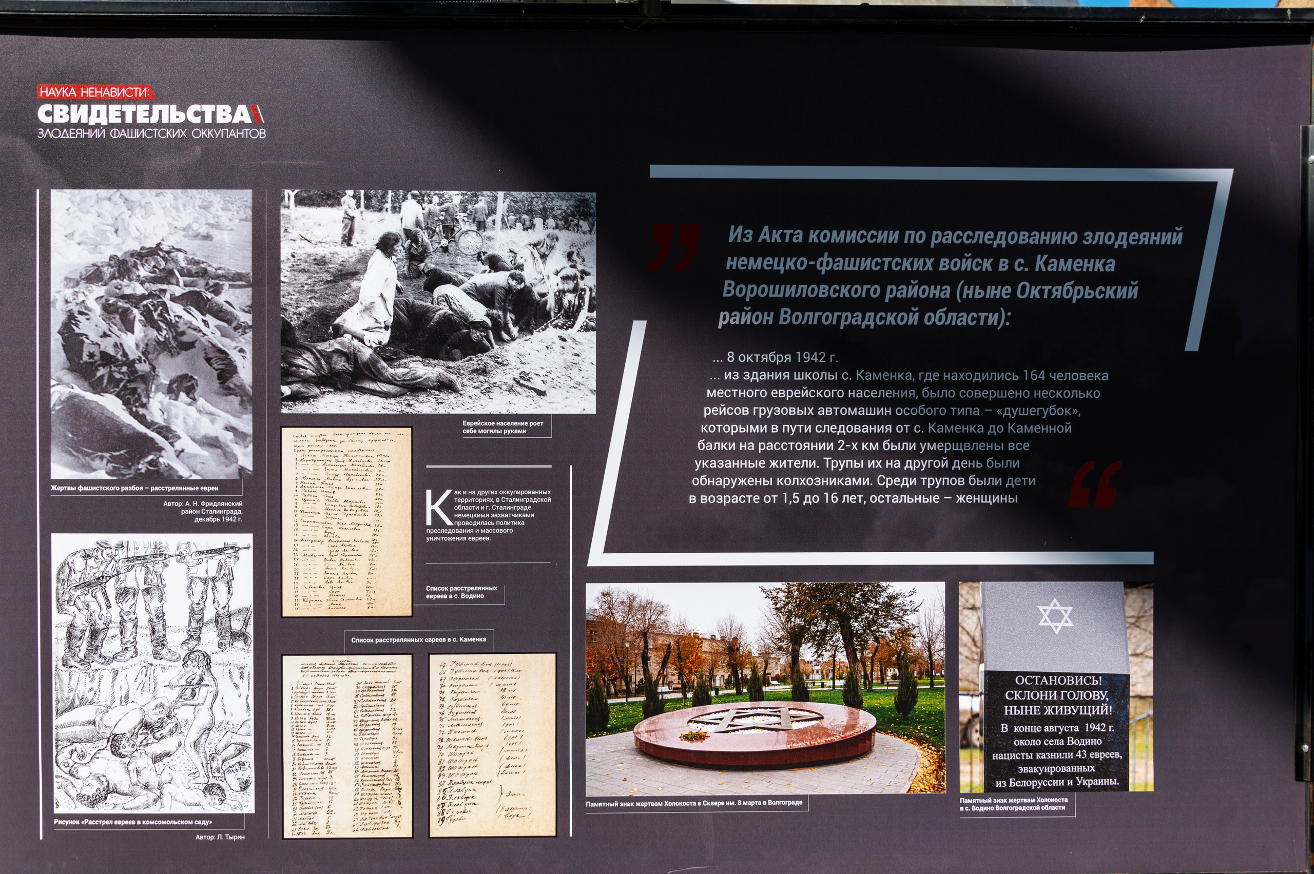 Волгоград. Сентябрь 2023. Фотограф Роман Адлер