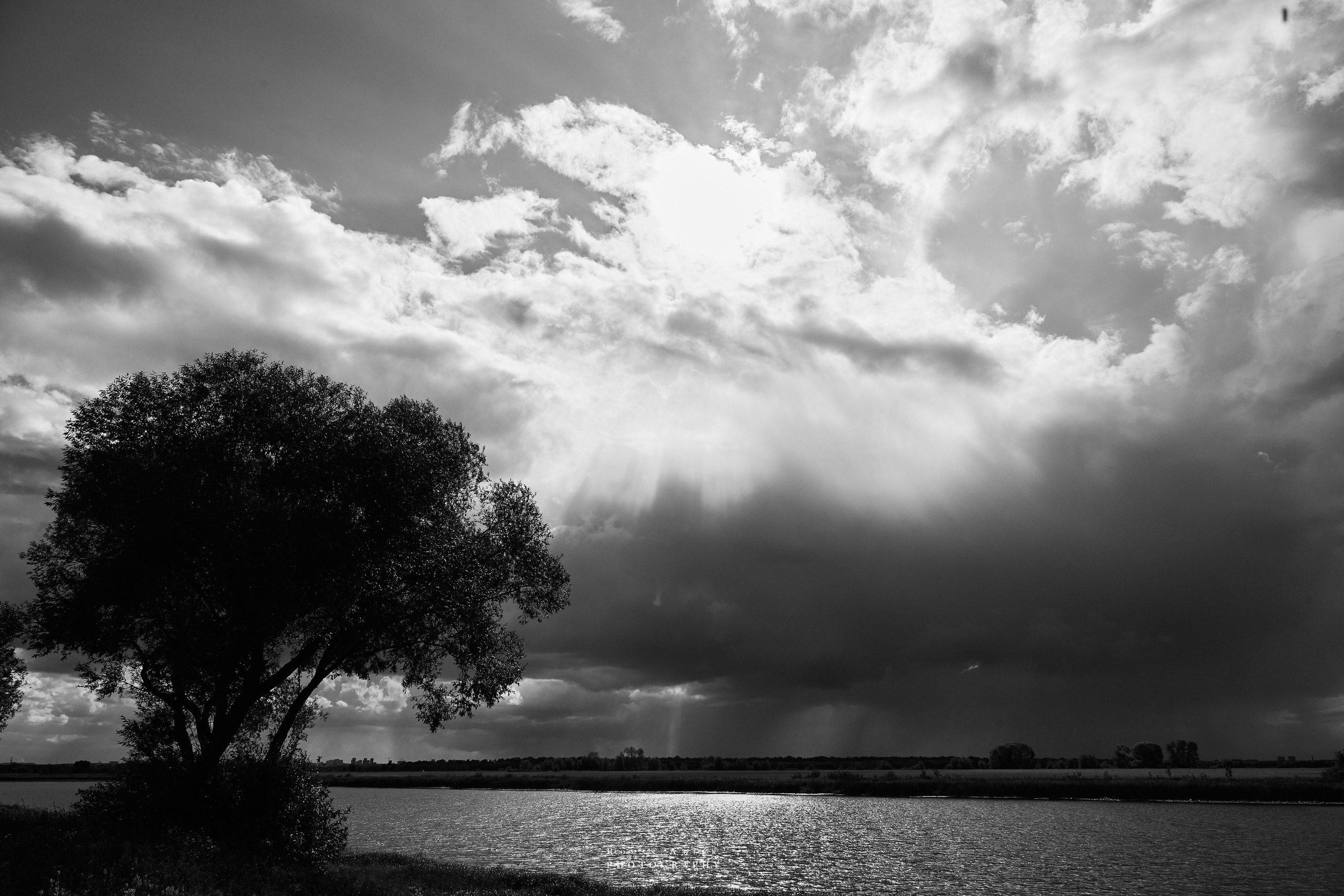 Рязань. Август 2025. Фотограф Роман Адлер