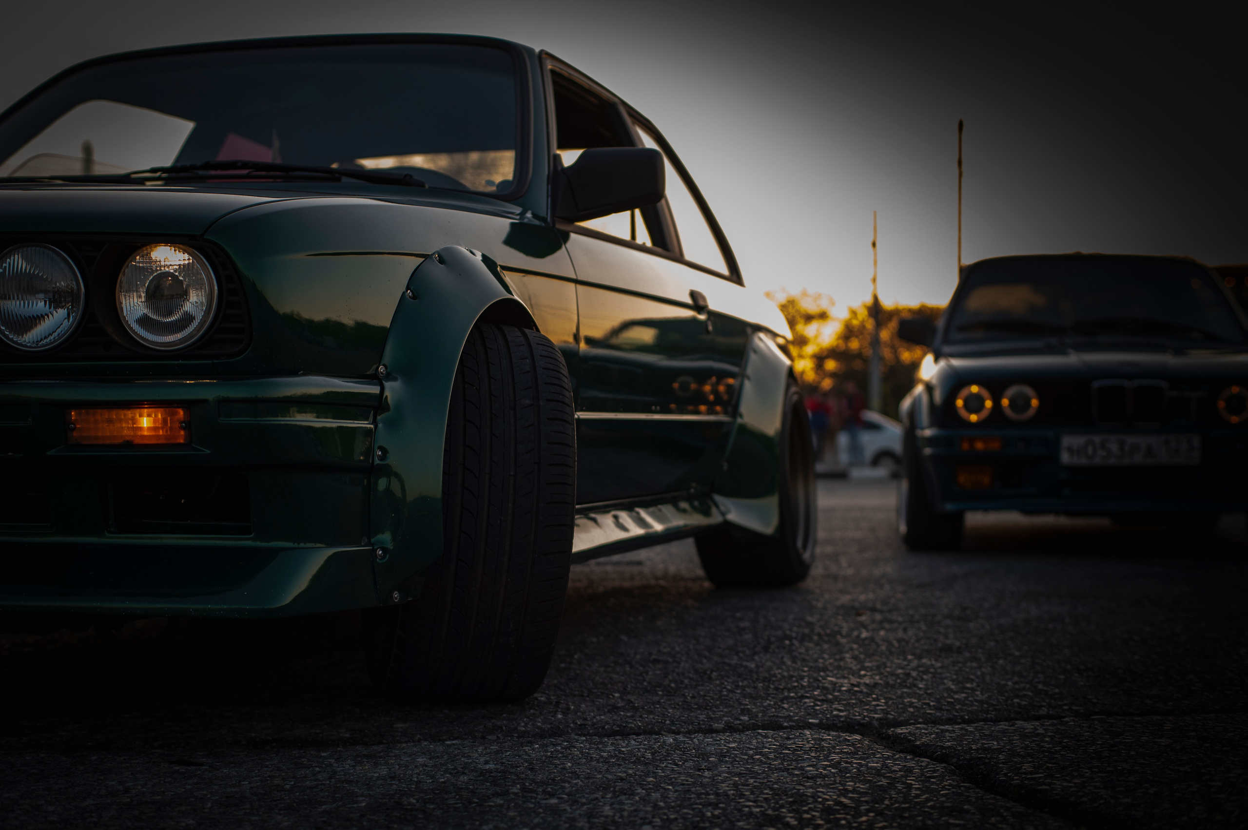 БМВ & Доберман. Фотограф Роман Адлер