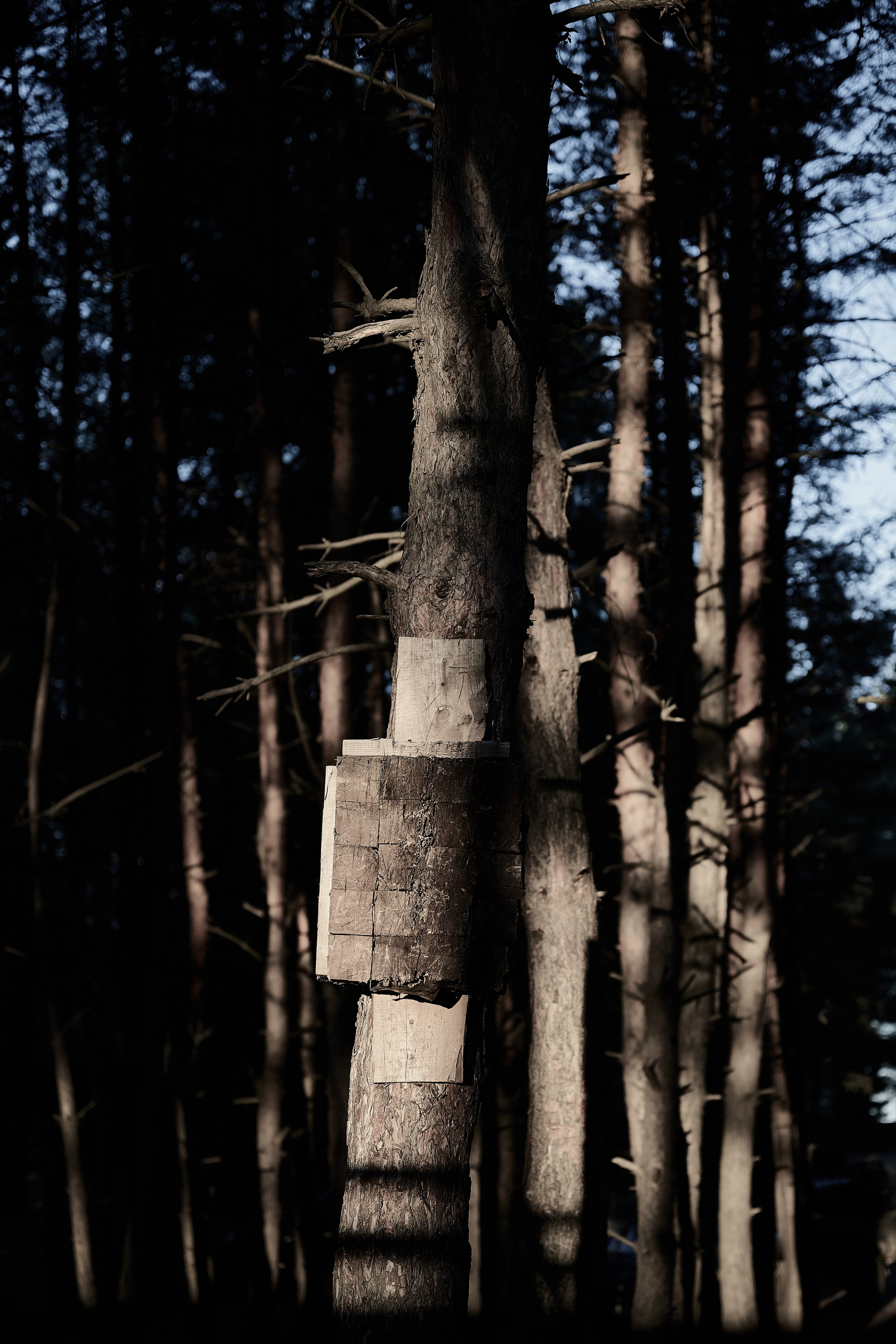 Дороги Территорий. Фотограф Роман Адлер