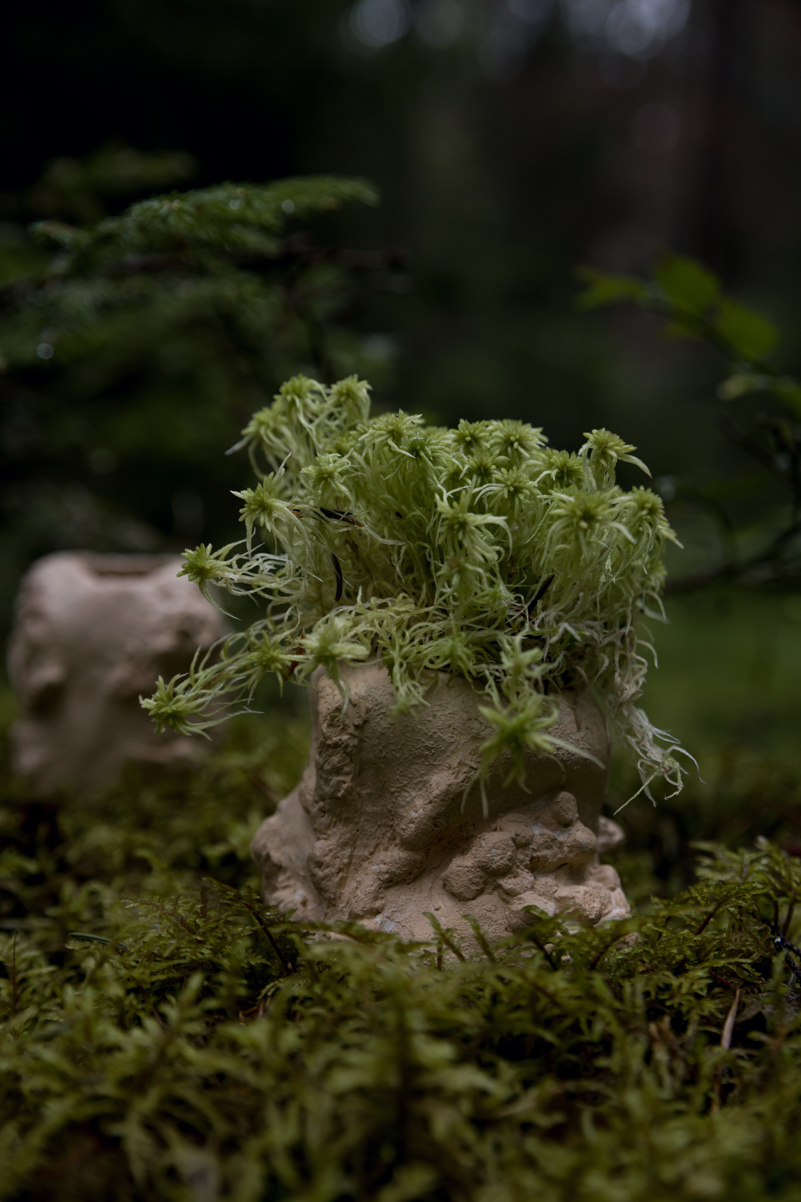 Искание. Катя Цвет