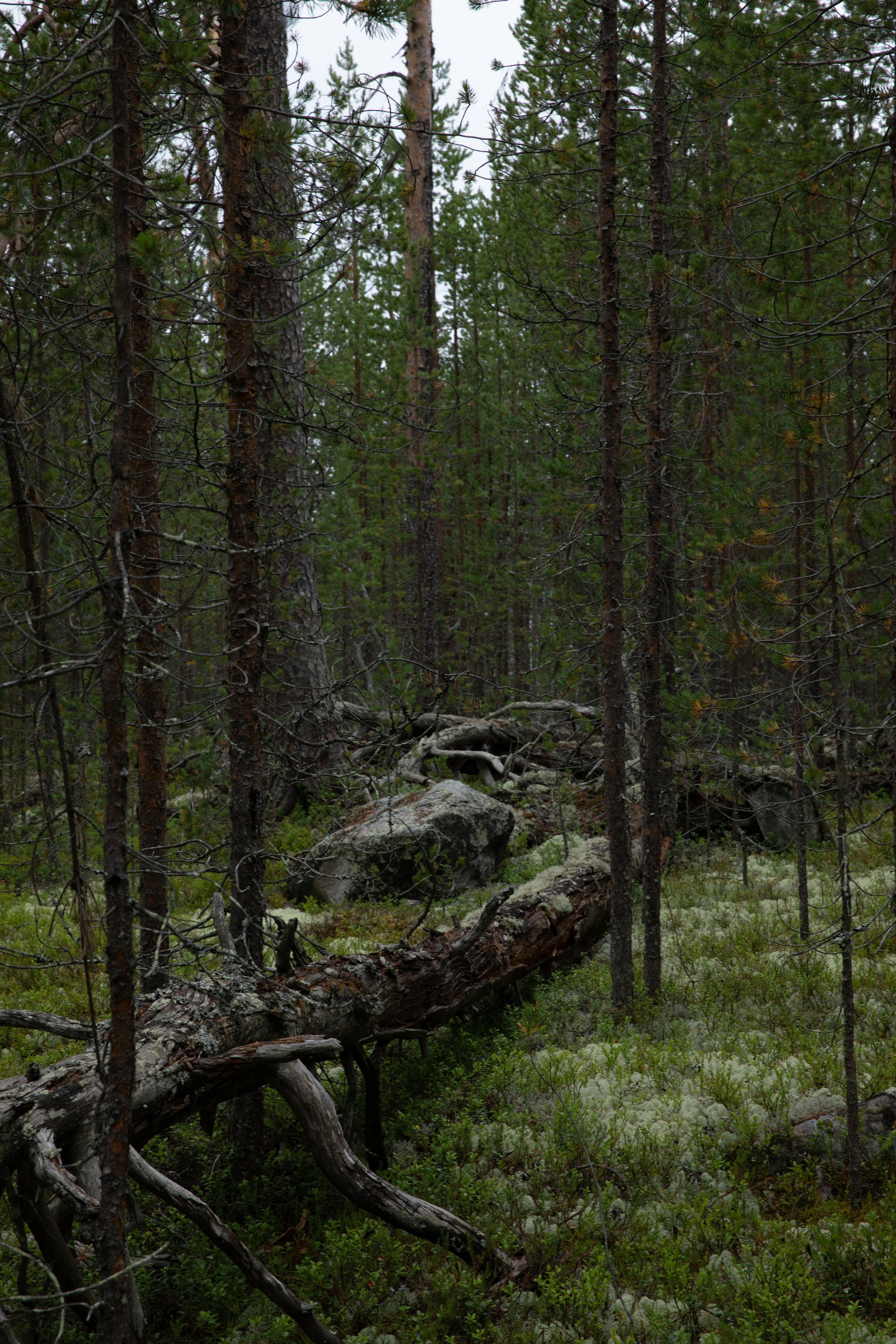 Оз. Колвицкое. Фотографии