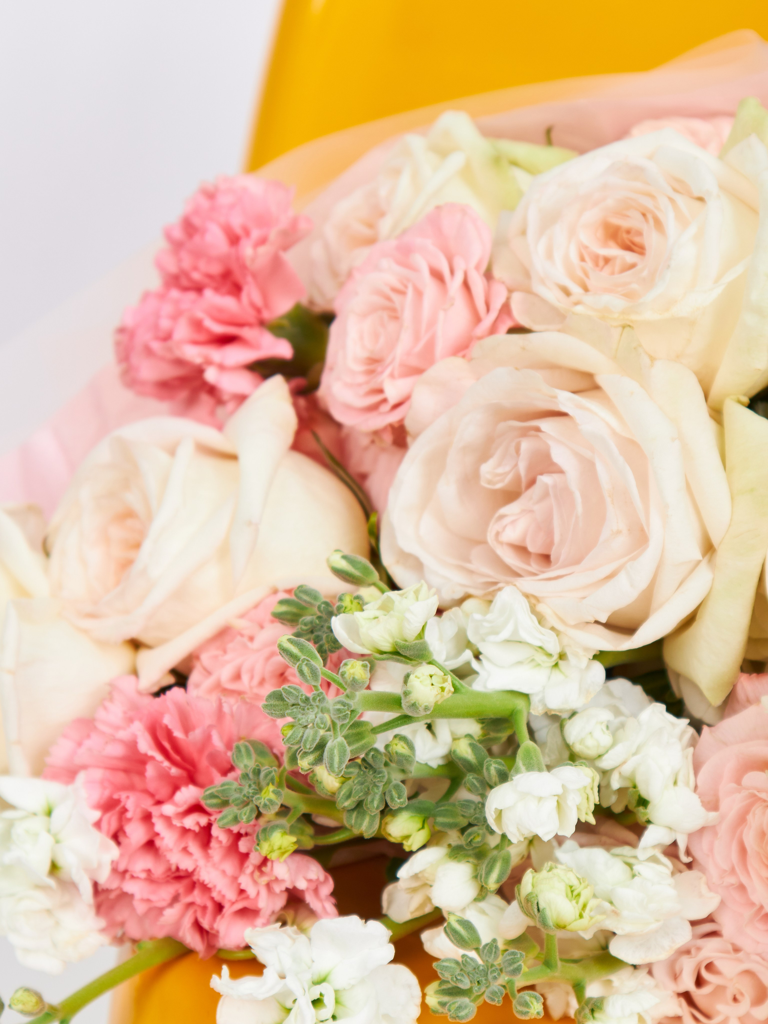 Профессиональный подбор моделей разных размеров для съемки каталога одежды в Москве, если требуется наглядная примерка