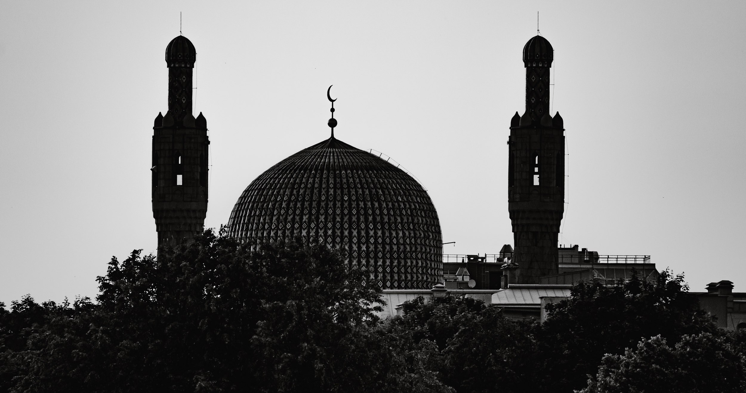 Saint Petersburg. The Andris