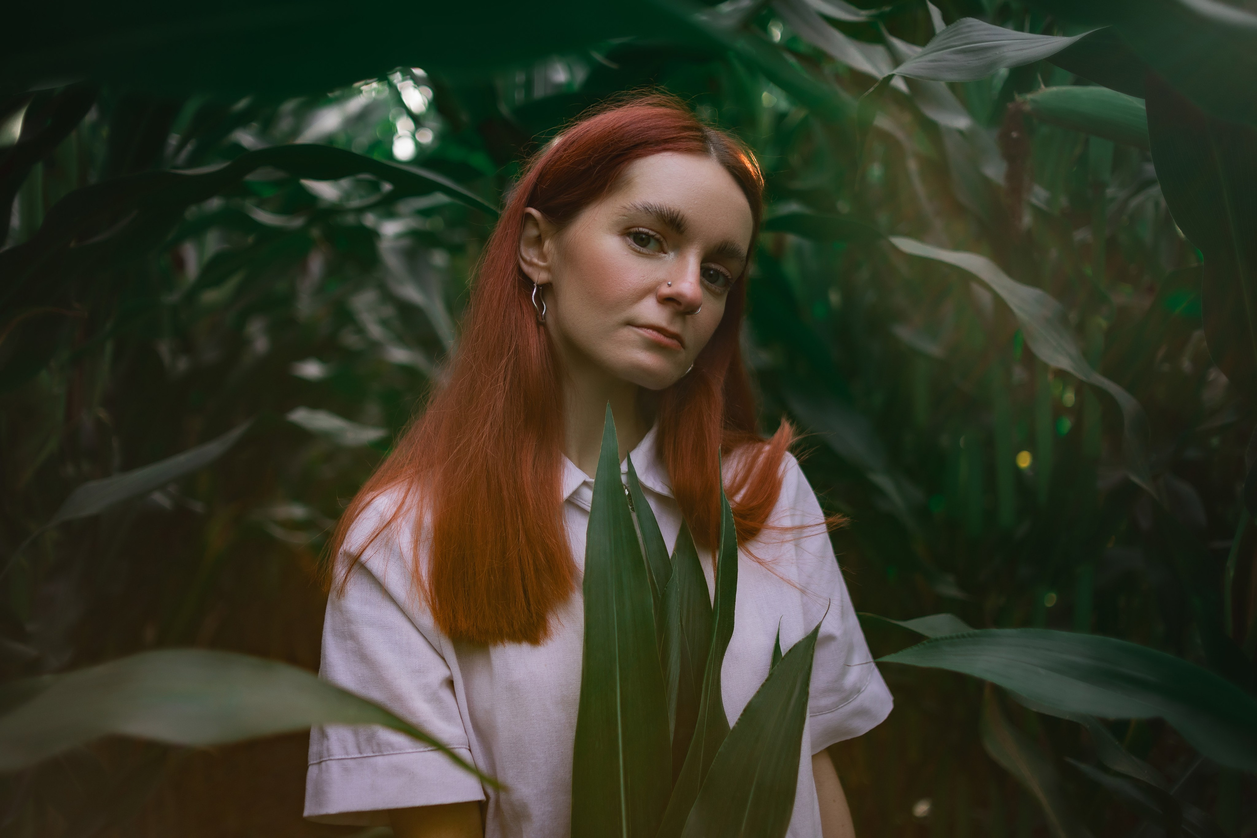 Девушка на кукурузном поле. Фотограф в Санкт-Петербурге и Москве Наталья Милли