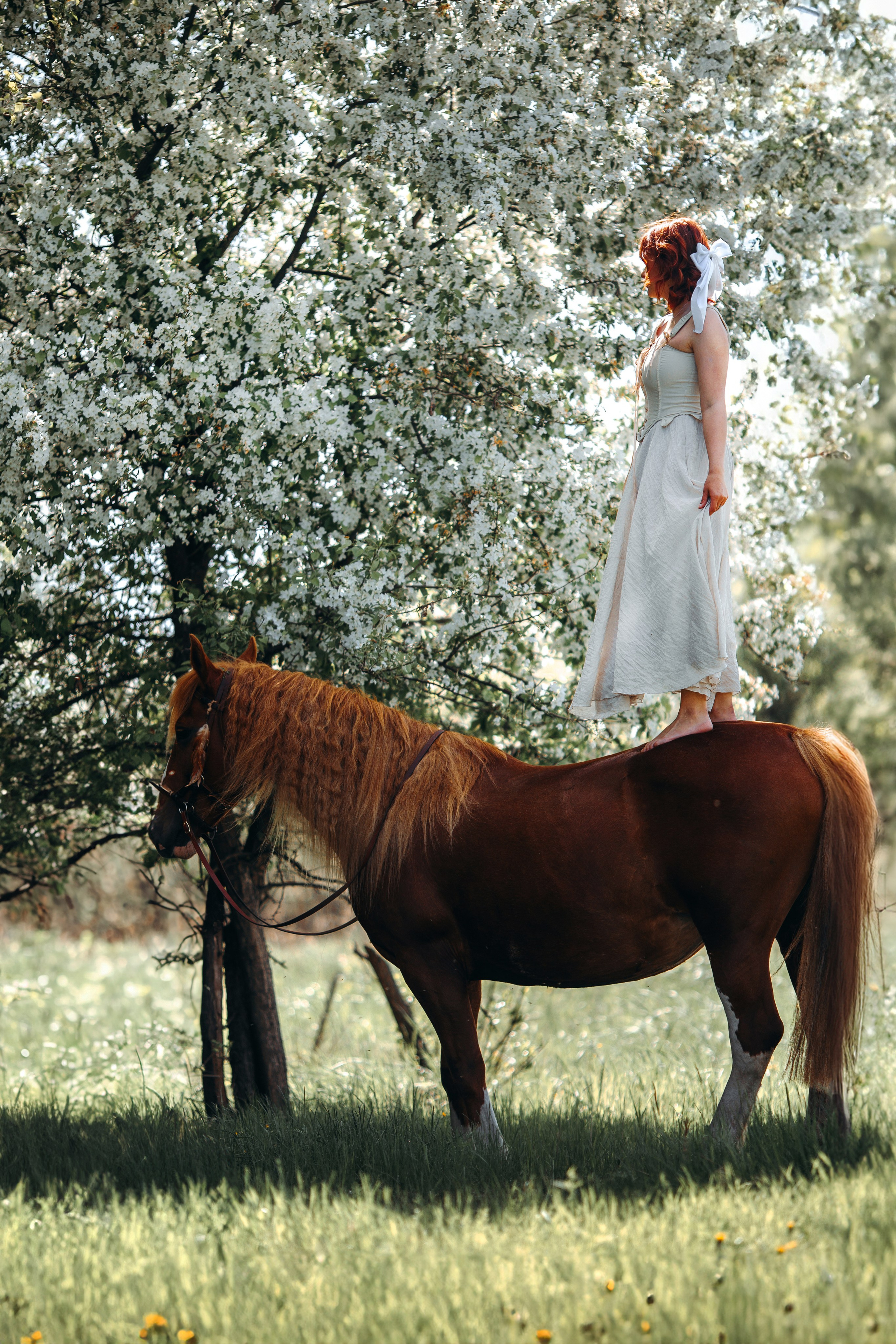Весенние цветения. Анна Молчанова конный фотограф в Тюмени | фотосессии с лошадьми Тюмень