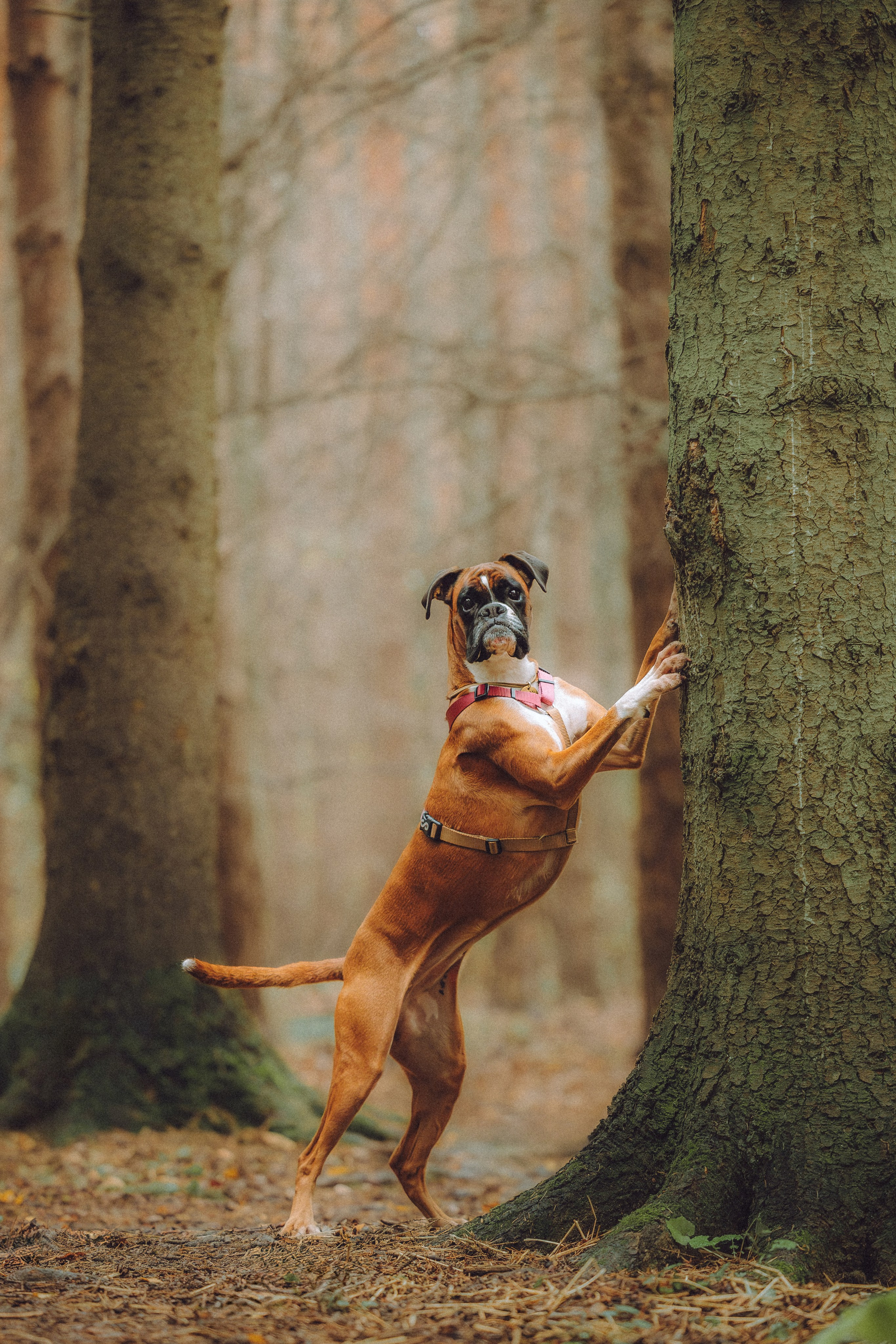 Элли и ее семья