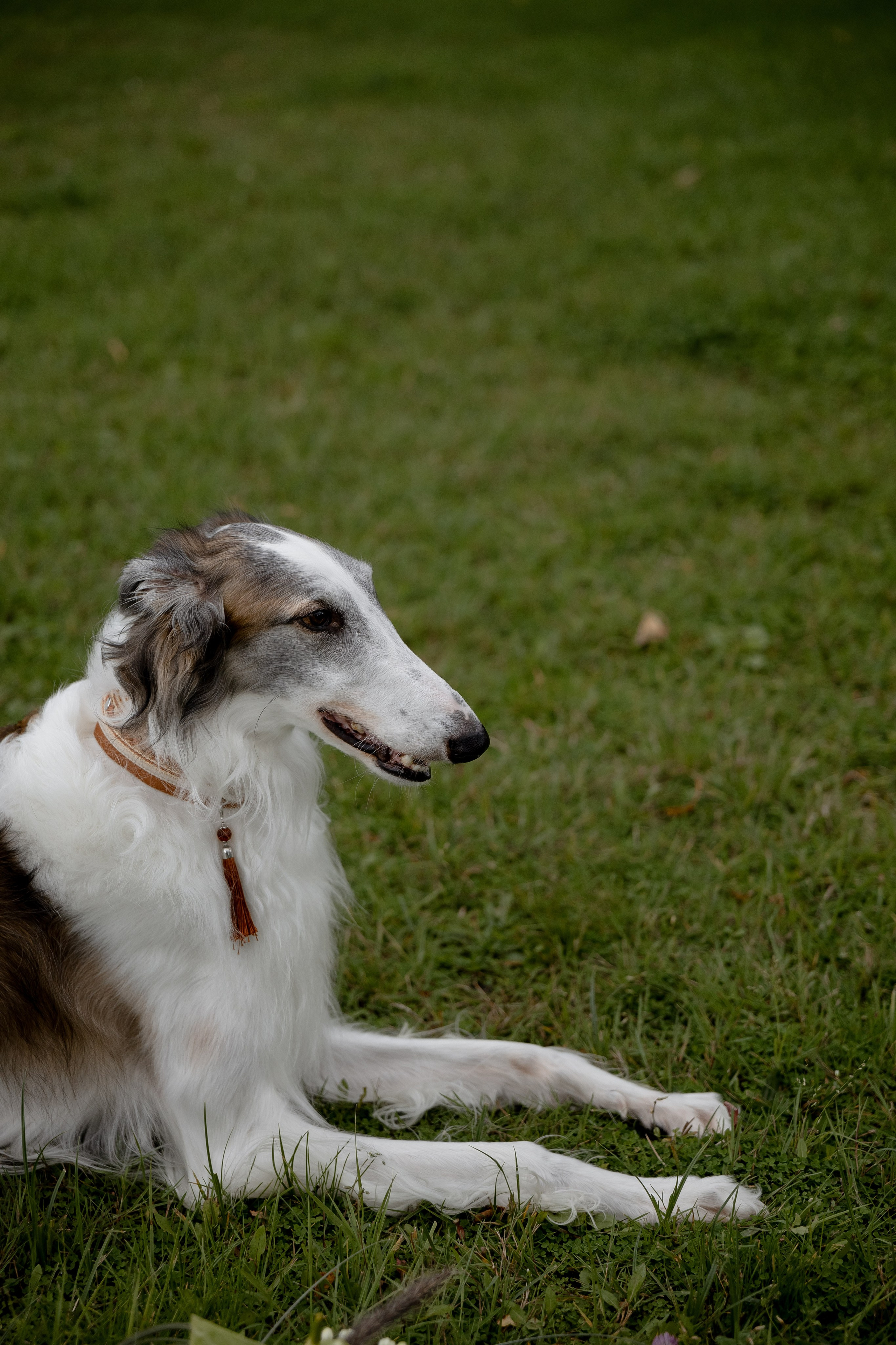 USADBA. Кто мы?