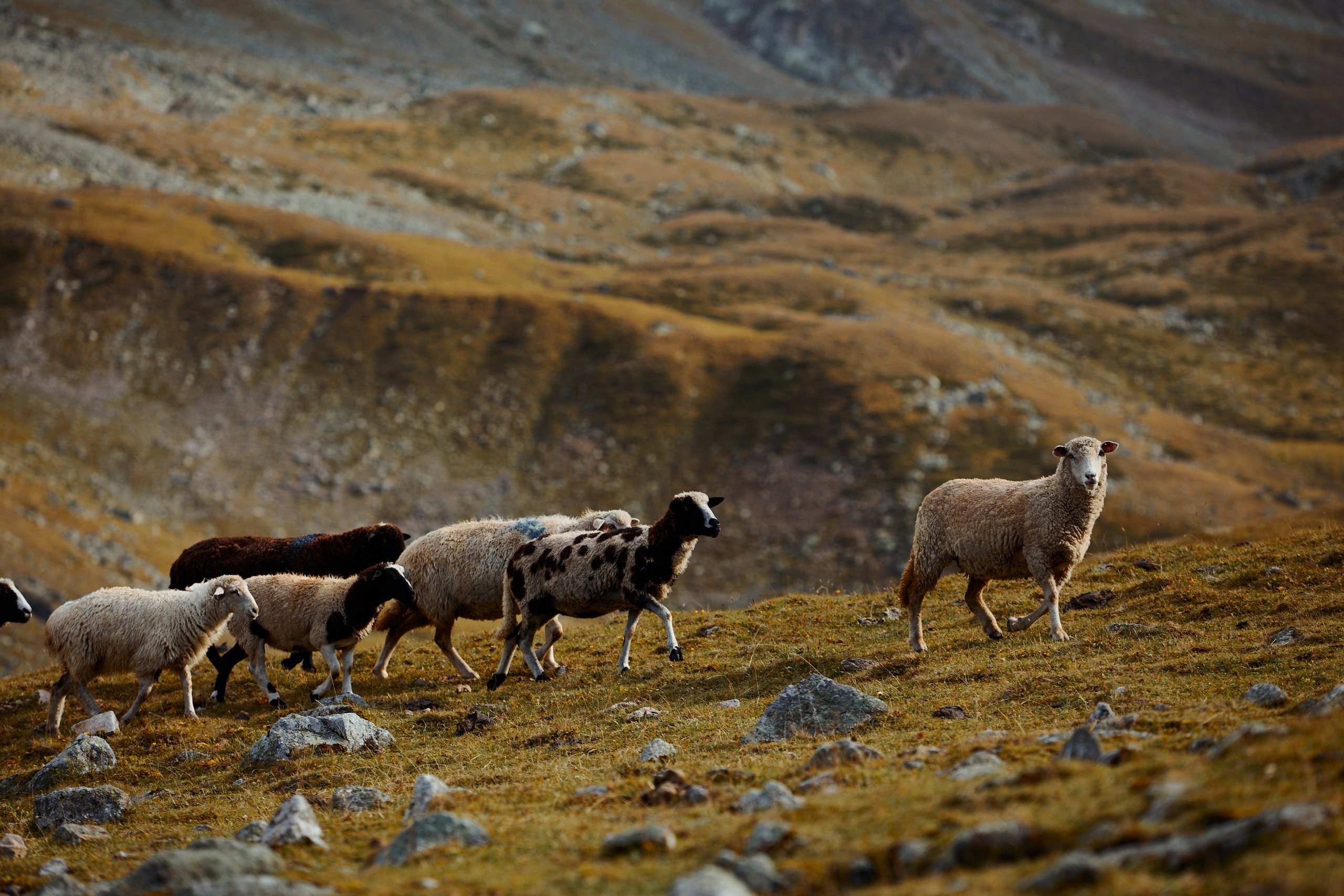 Озеро Гийбашкель. Фотограф Продюсер в горах КБР / Москва  Нальчик Горы