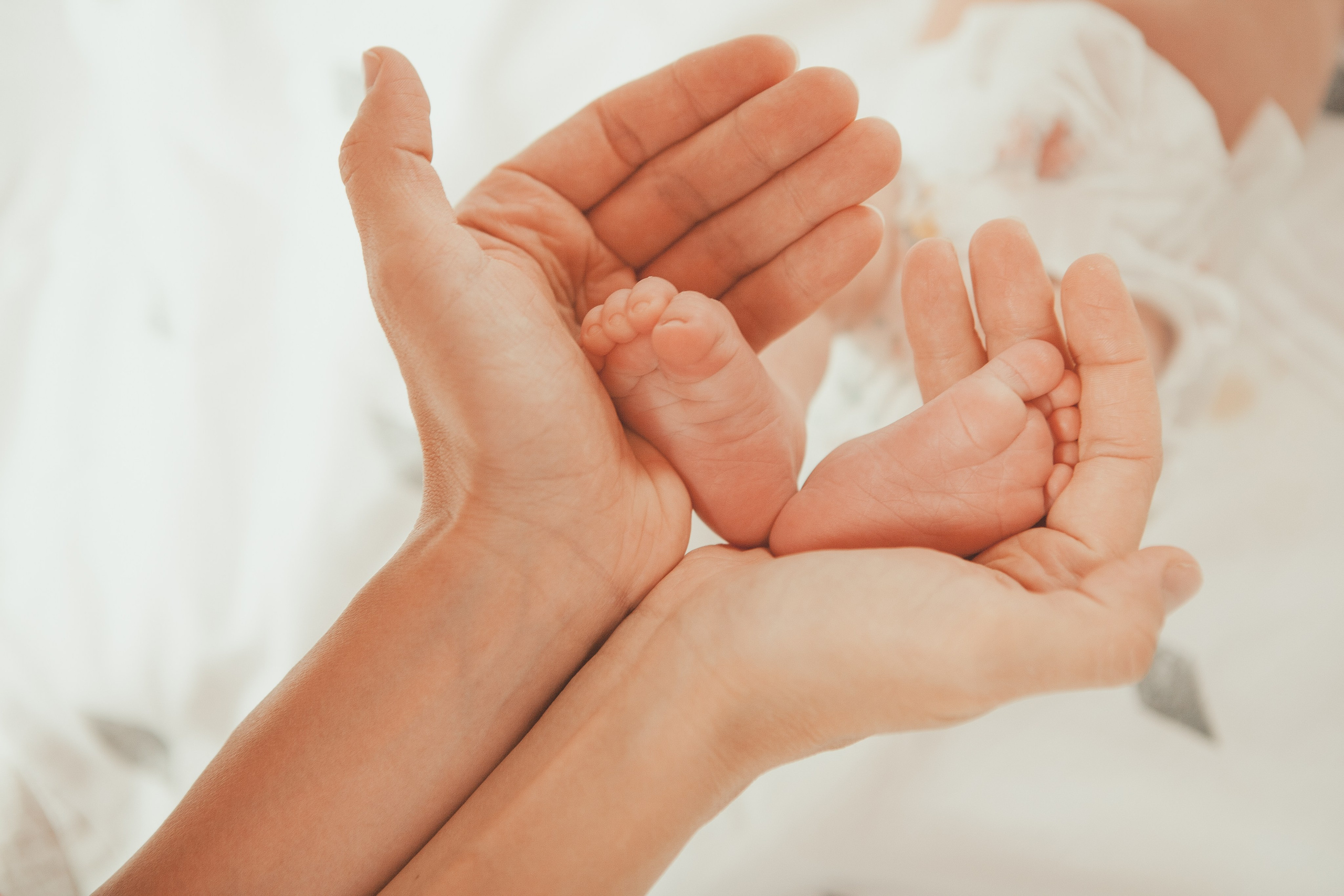 Гордей. Фотограф Ольга Ефремова