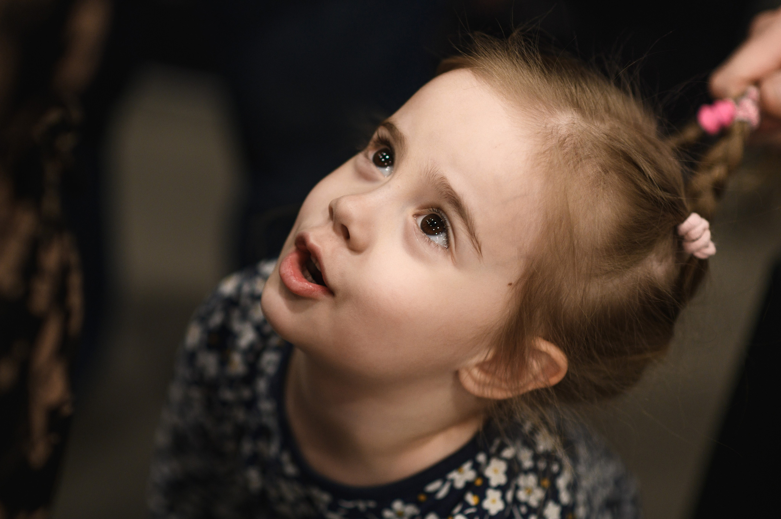 Выставка «В чьих глазах красота?». Фотообъединение Самарского областного отделения Союза журналистов России