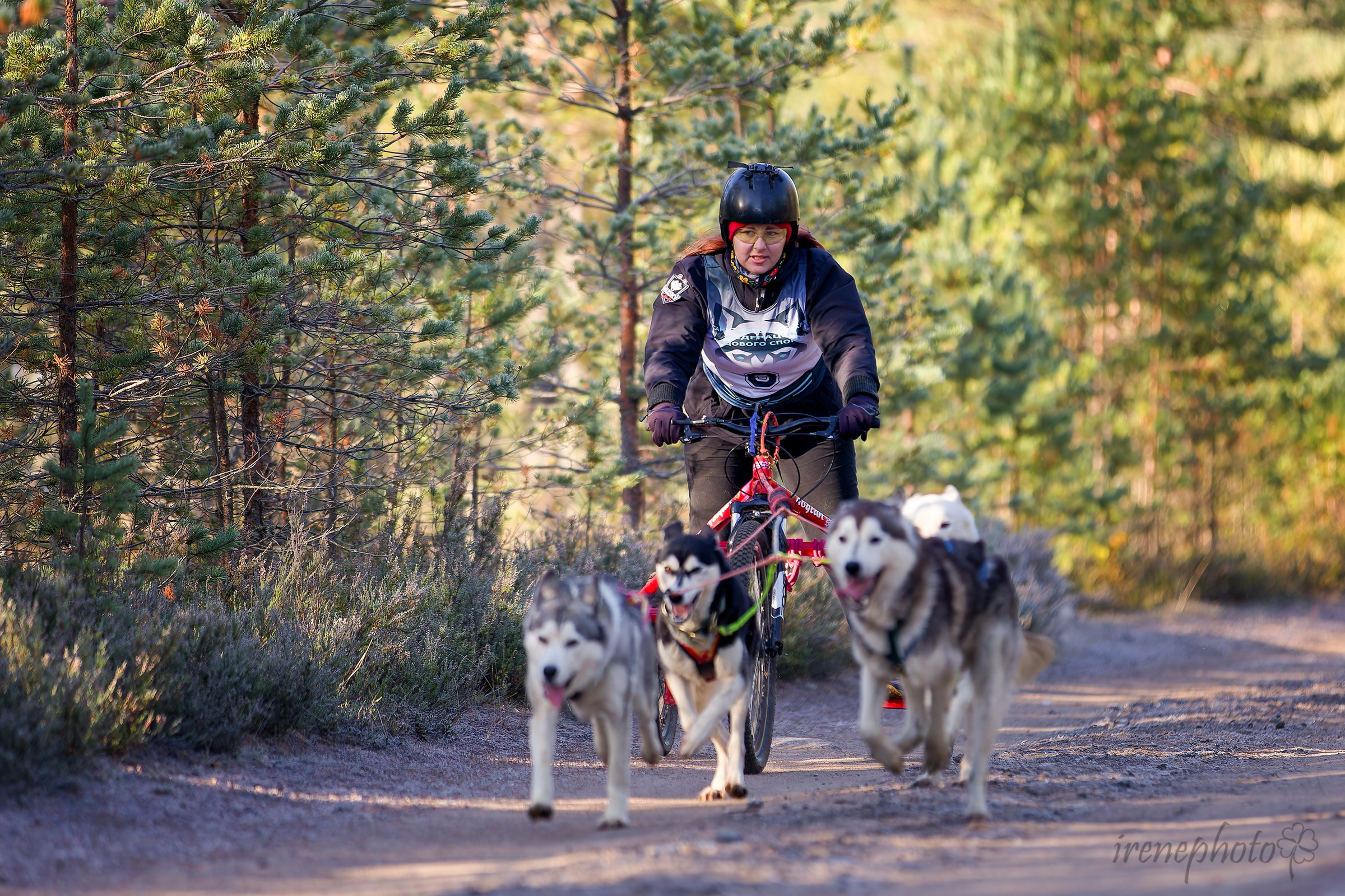 Чемпионат Санкт-Петербурга осень 2025. Irenephoto.ru