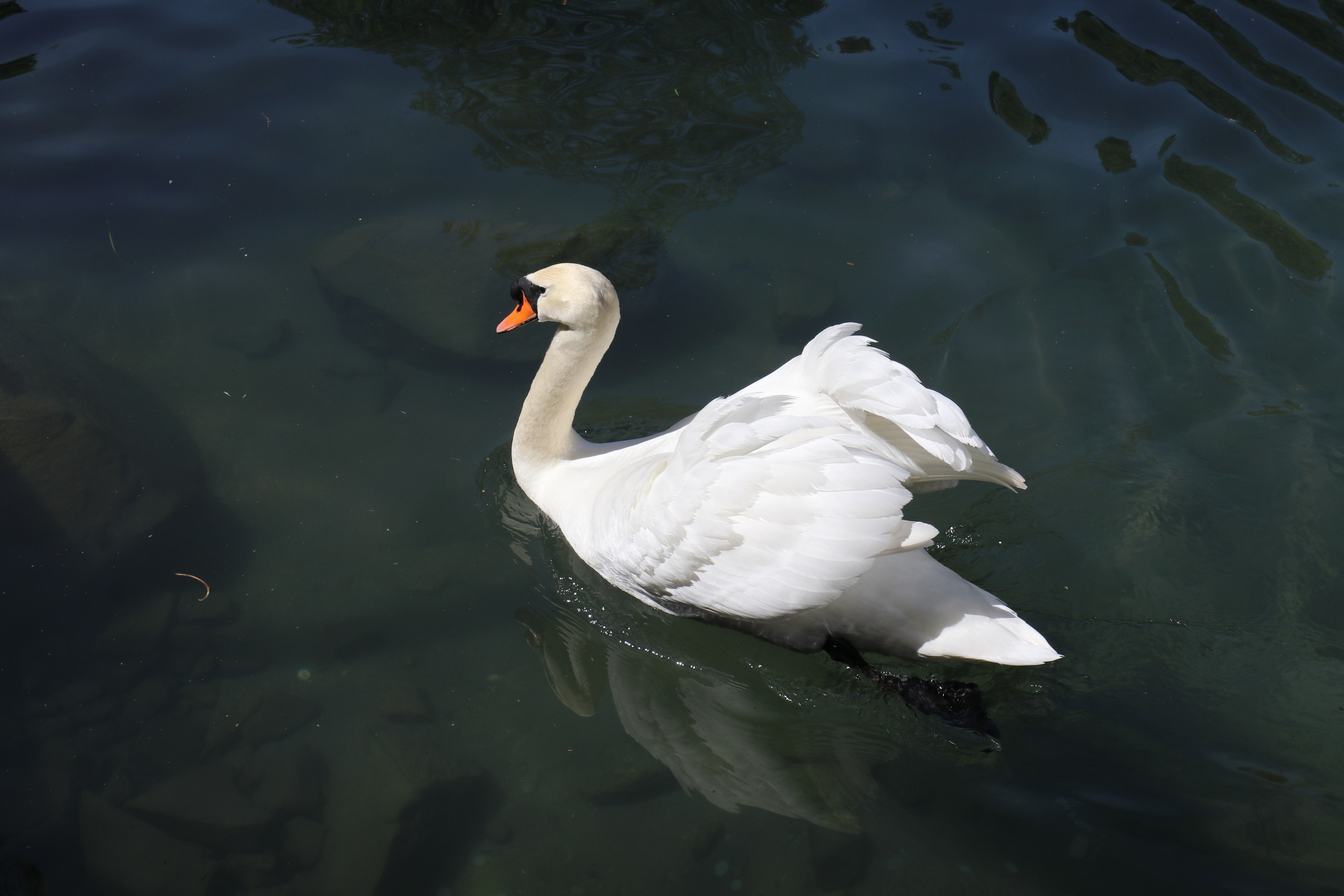 Крым. ЮБК (Бахчисарай, Кастрополь, Таракташская тропа). Май 2021. Путешественник-фотограф из Санкт-Петербурга Татьяна Свистулина