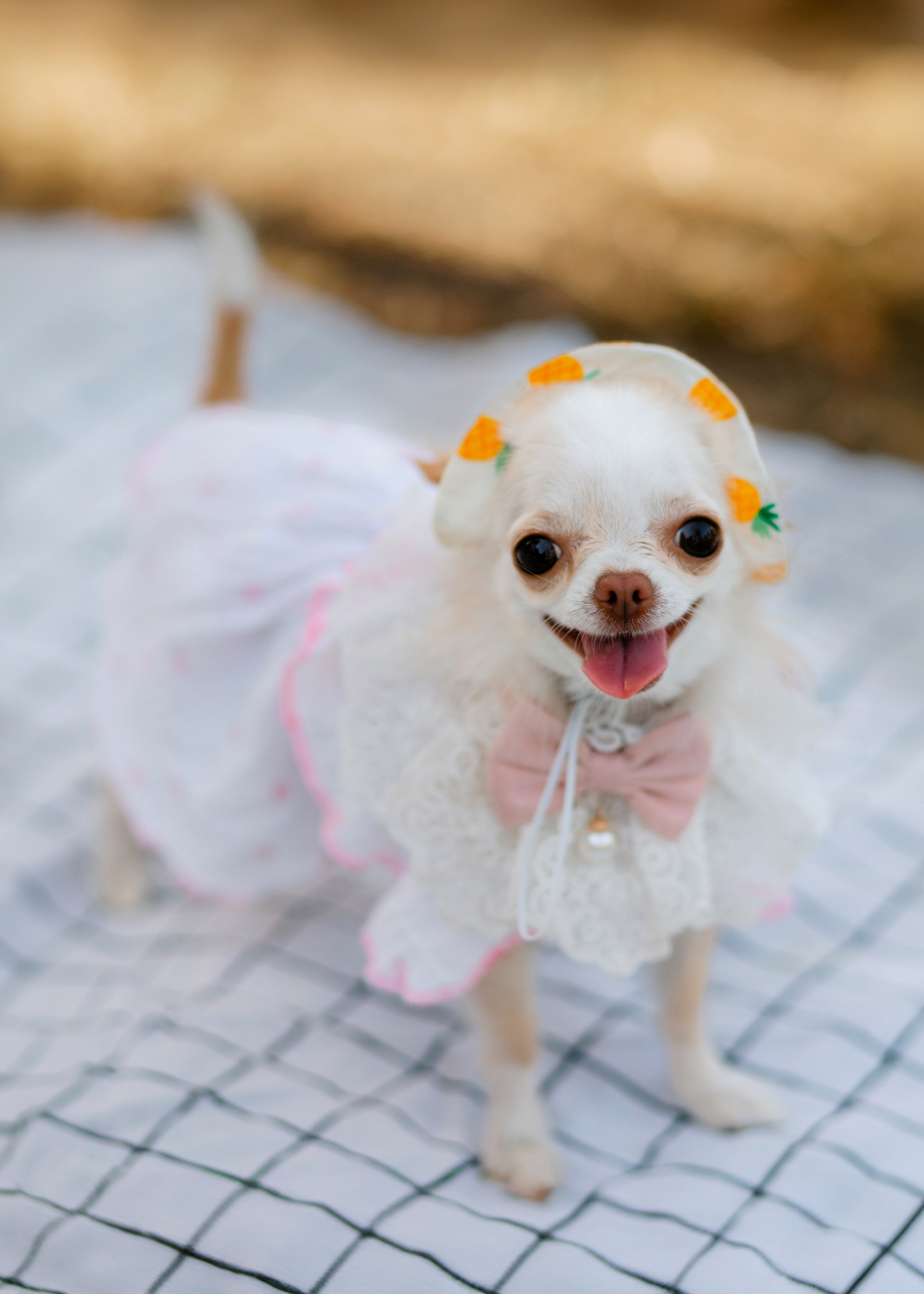 Charming Princesses. Barbara Isaeva