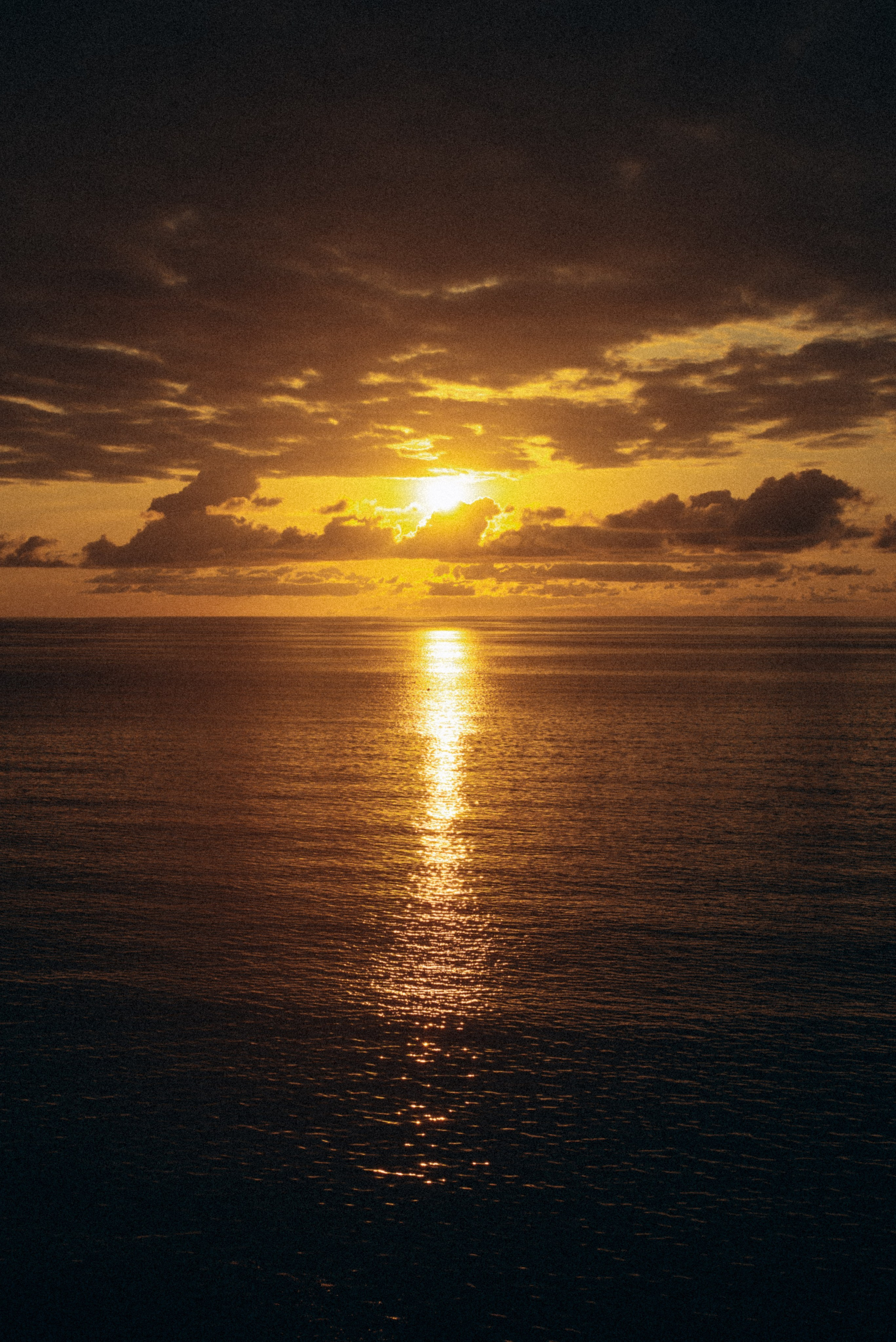 Сарпи, Грузия 🇬🇪. Anita_photo