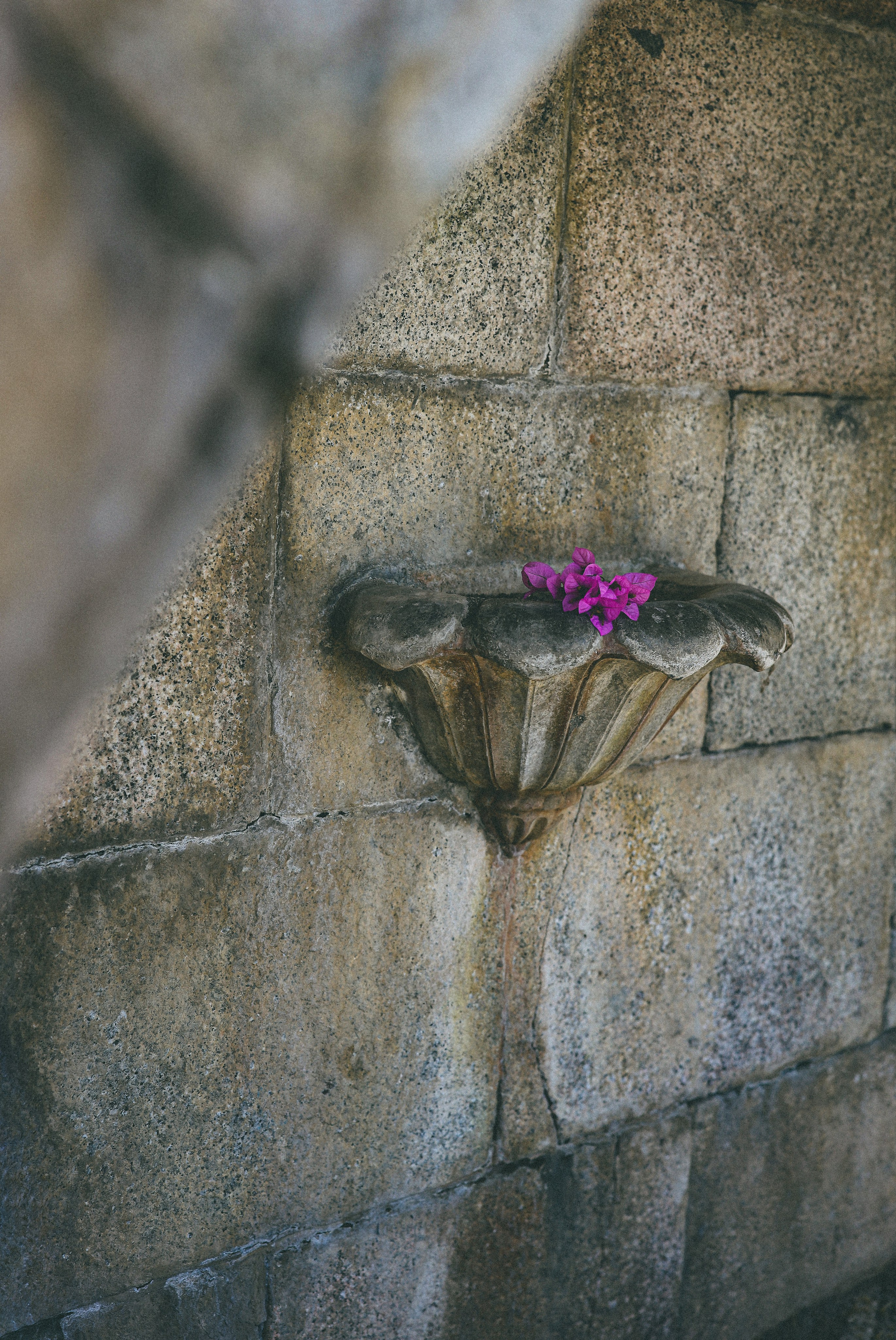 Фотосессия на станции Гума, Сухум. Свадебный и семейный фотограф в Абхазии Жанна Соснина