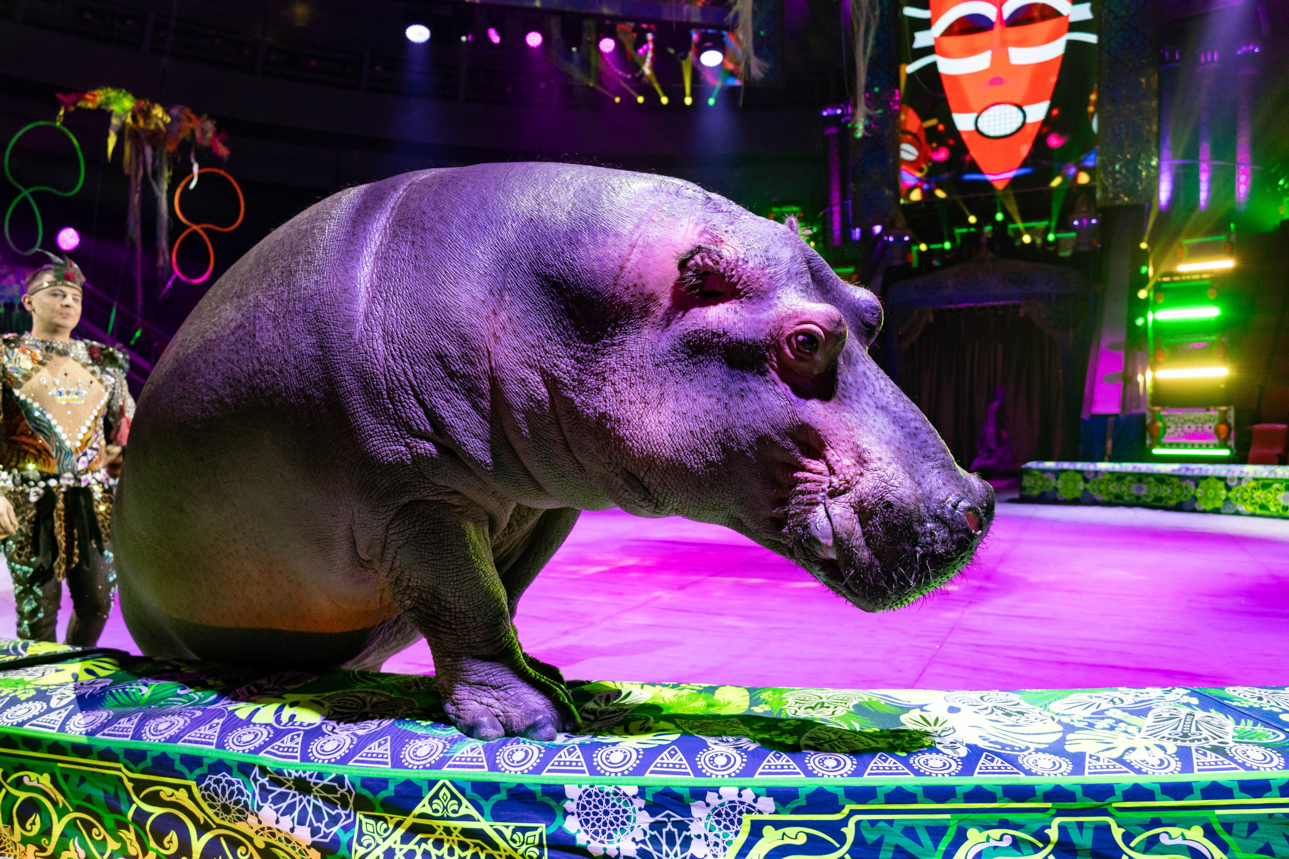 Цирк Гии Эрадзе «Песчаная Сказка». Ваш фотограф в Нижнем Новгороде