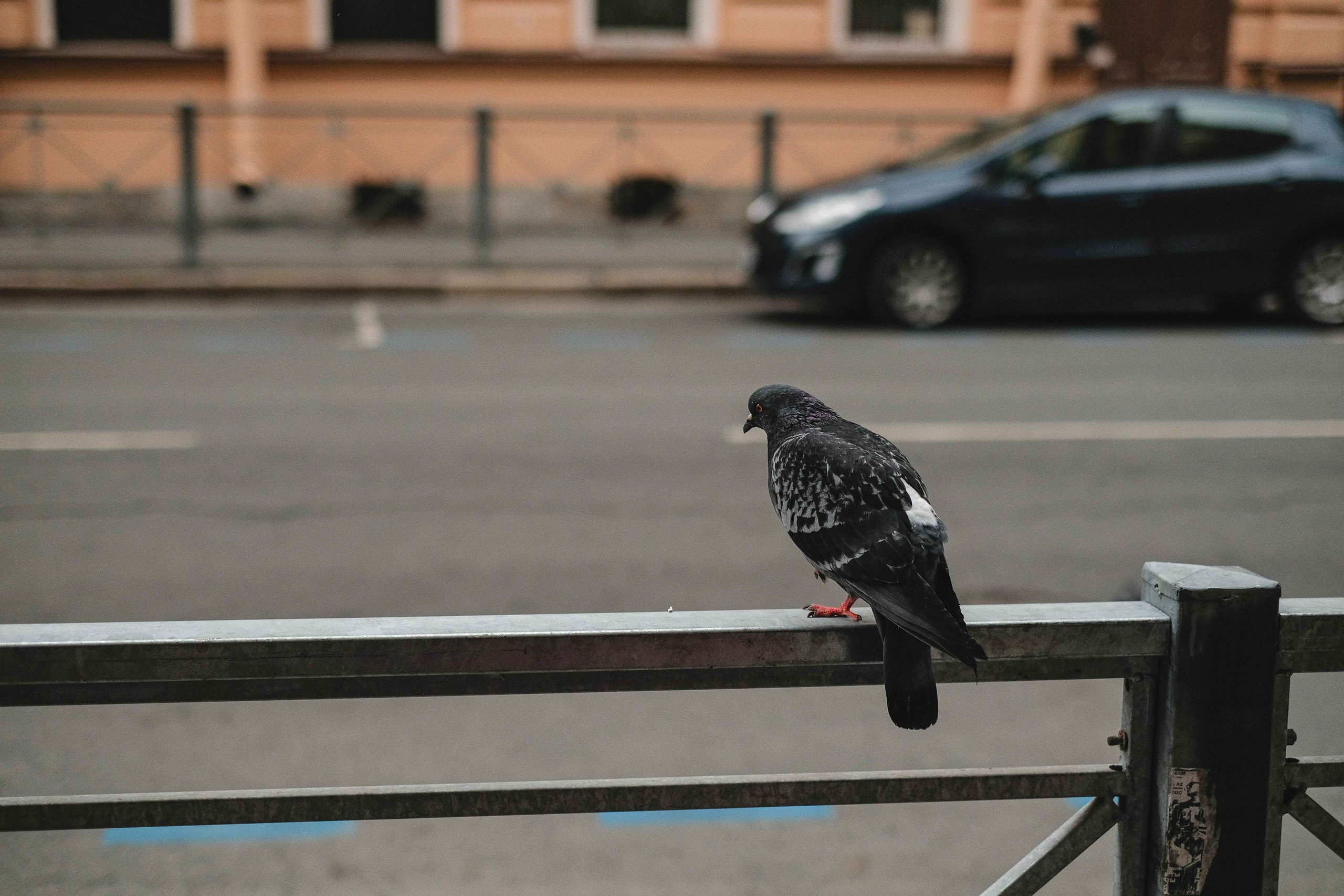 2022.07. Фотограф Алексей Алексеев