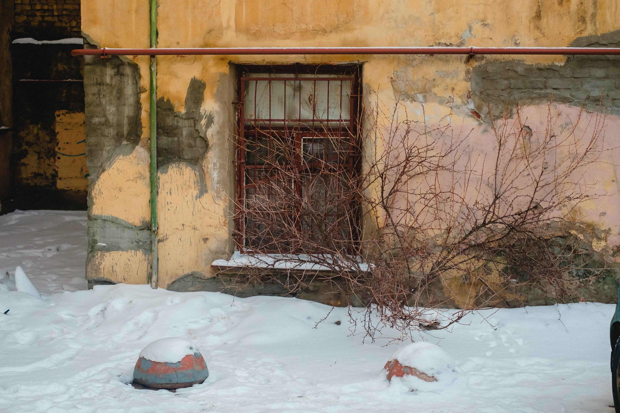 2021.12. Фотограф Алексей Алексеев