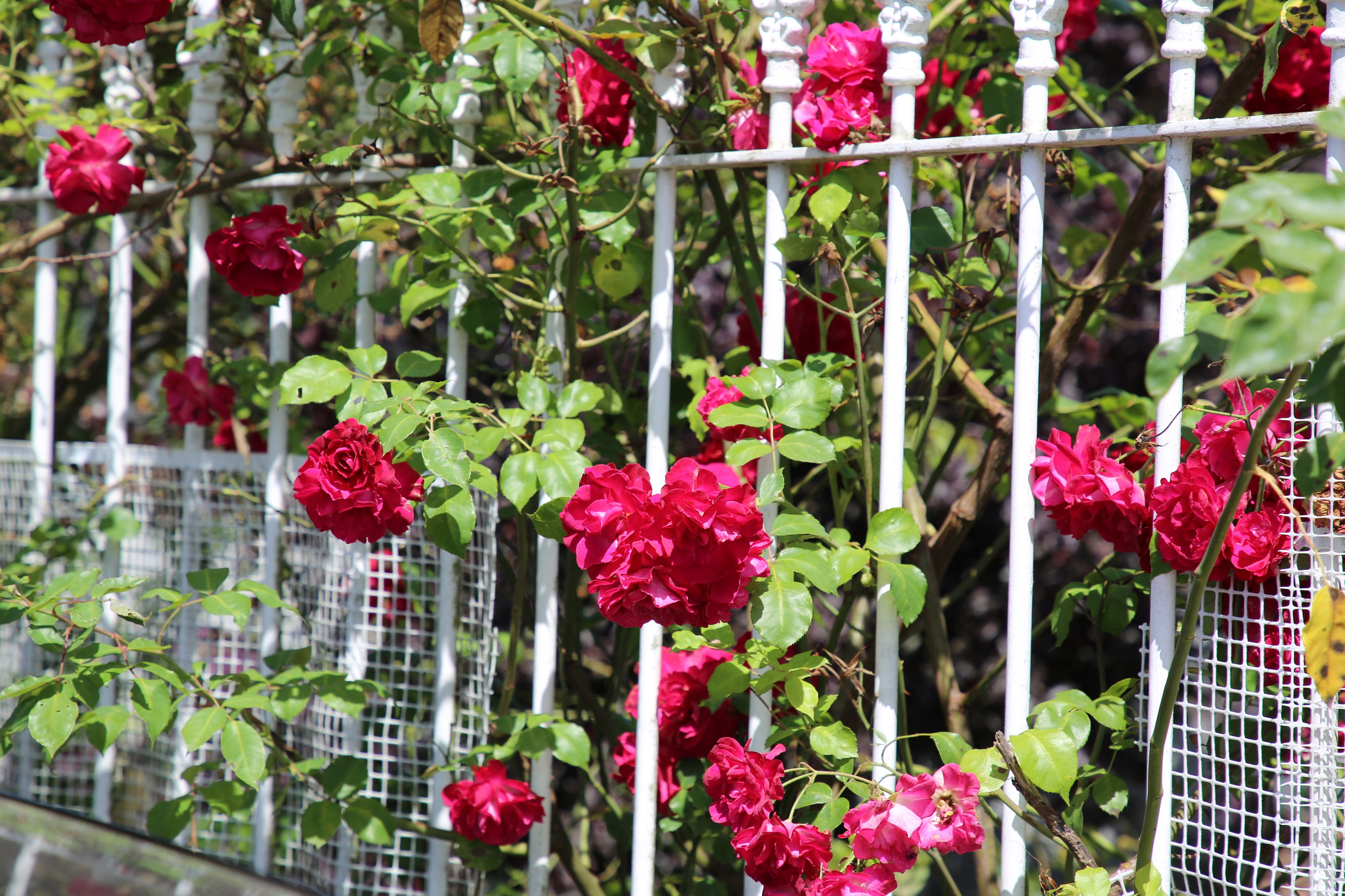 Espihnio, Portugal. Andrey Filippov Photographer