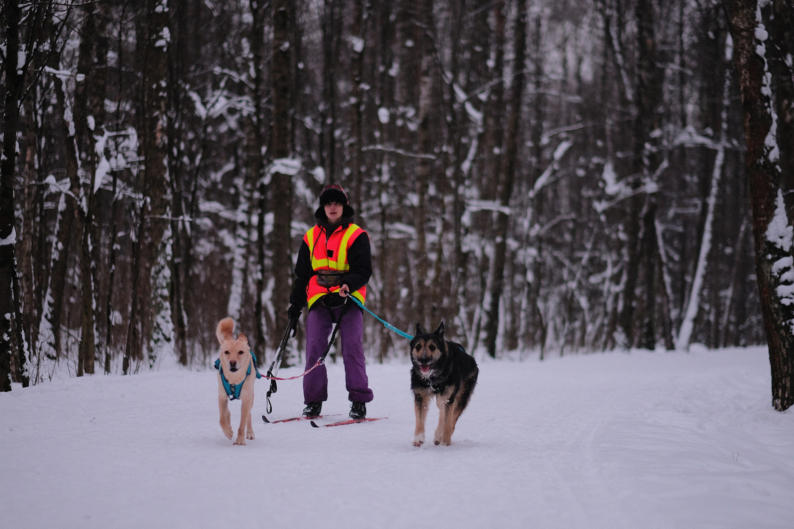 Рик, Листик и их Катя. Дмитрий Бречалов