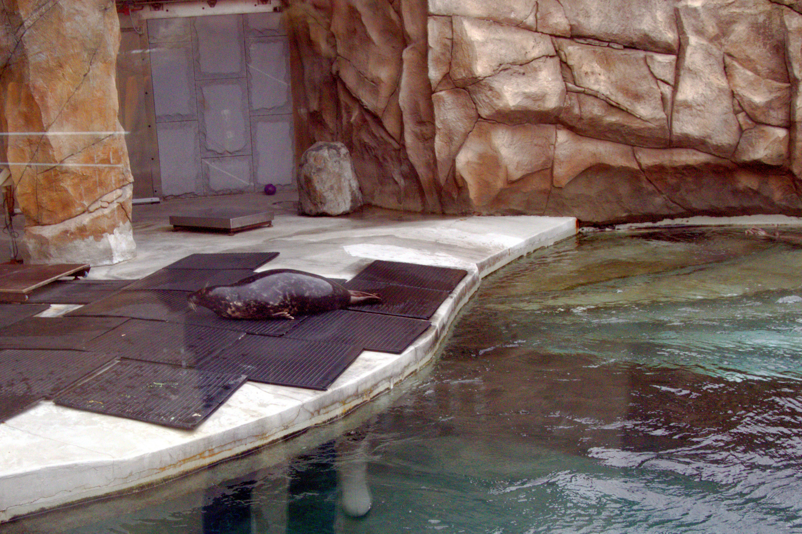 ЗООПАРК. ФОТОГРАФ В МОСКВЕ СТАНИСЛАВ КОБЗЕВ