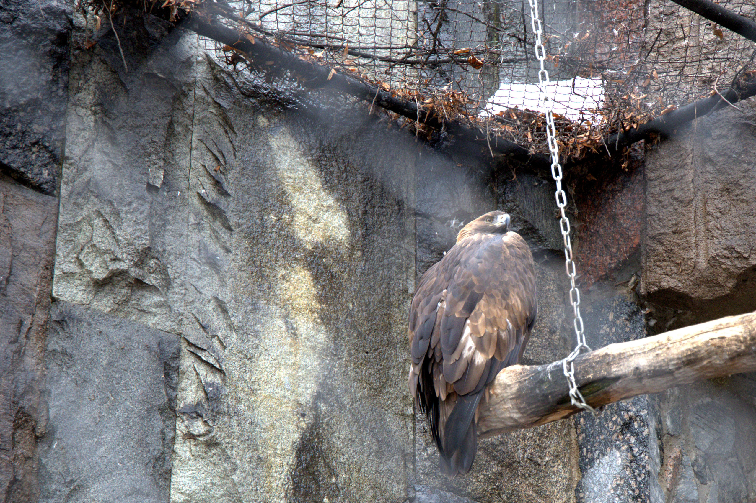 ЗООПАРК. ФОТОГРАФ В МОСКВЕ СТАНИСЛАВ КОБЗЕВ