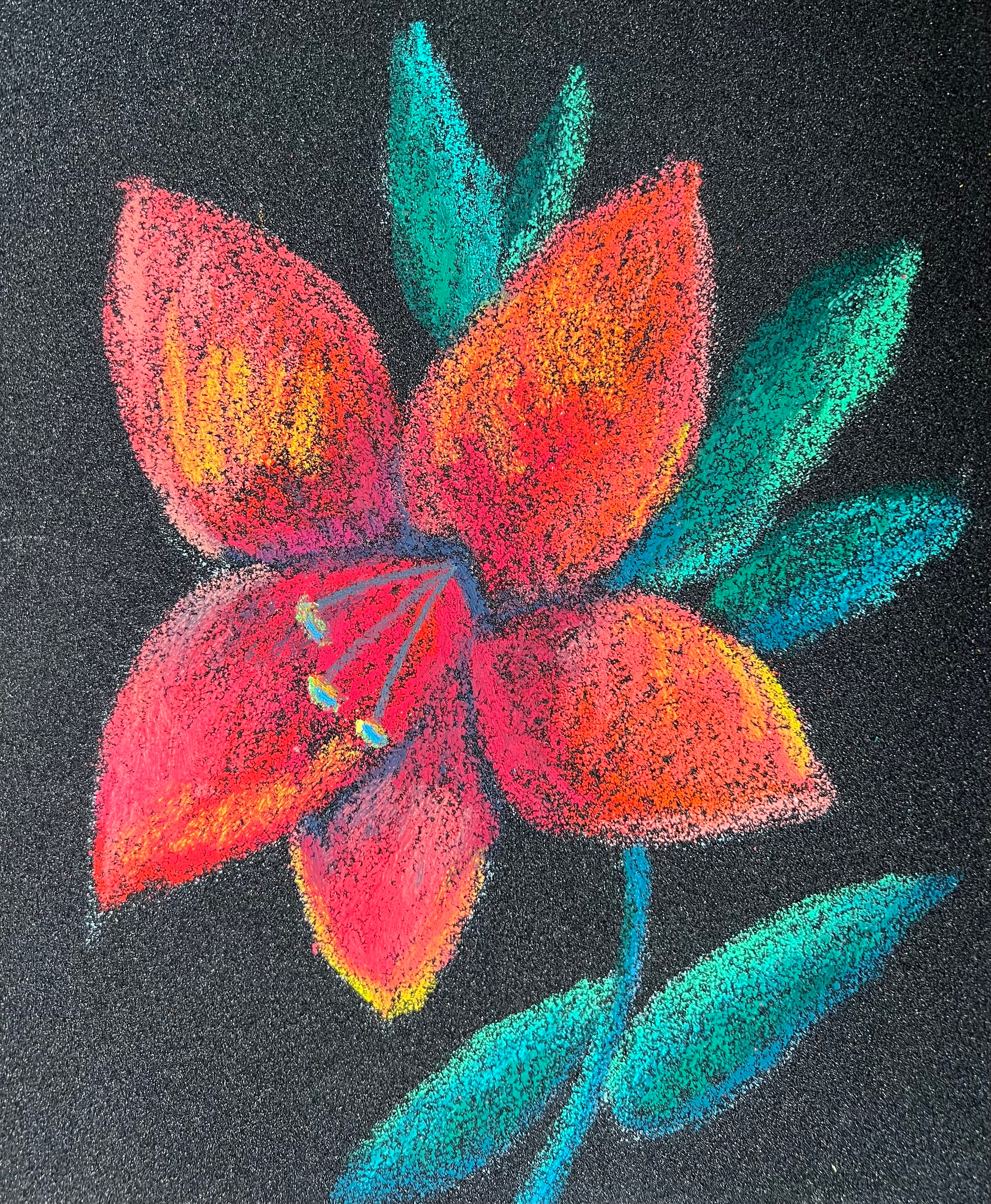 Title: Lily Material: Oil pastel, paper Size: 28 x 23 cm